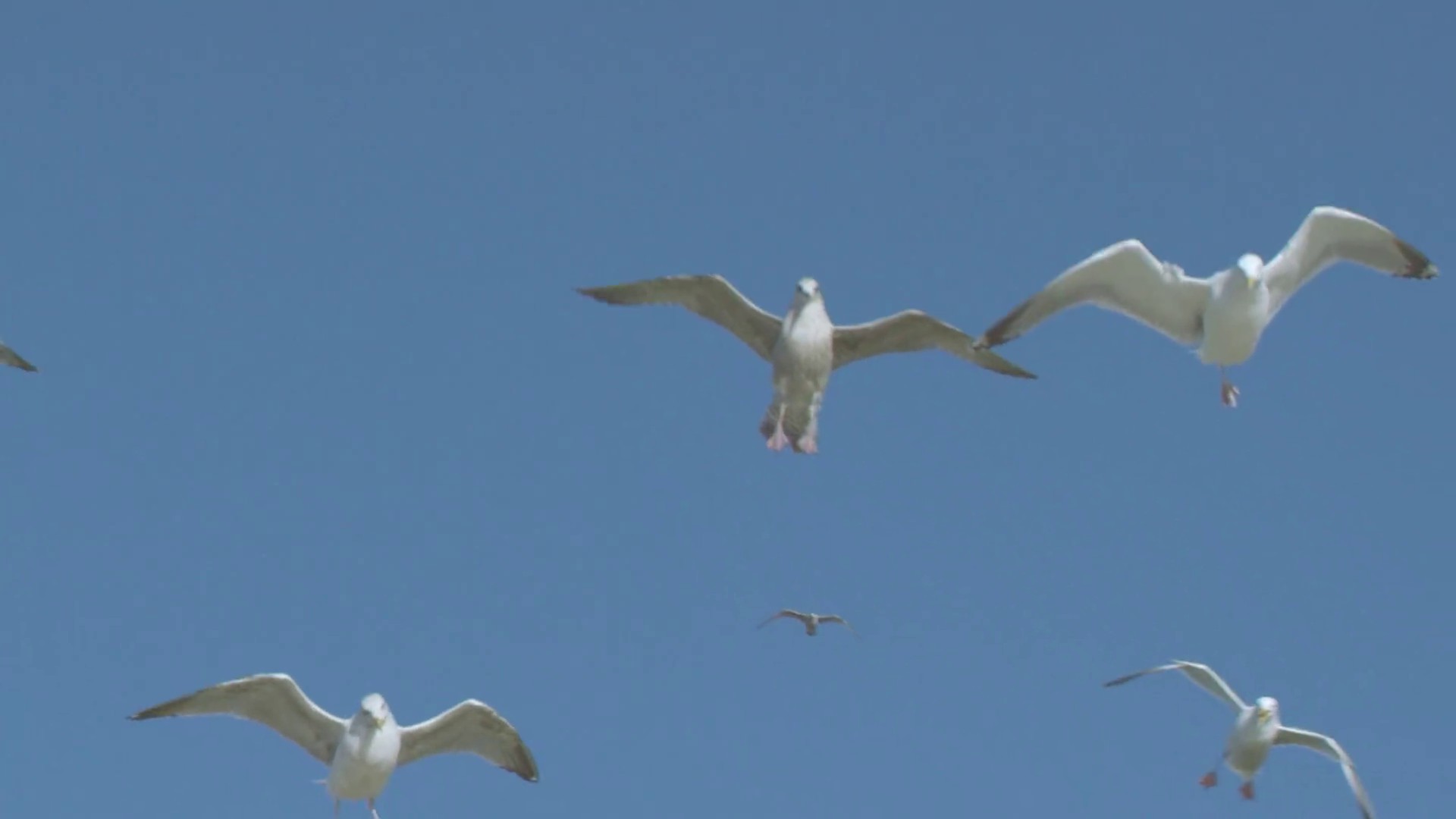 Our Eyes (2015) —  shot,  lighting