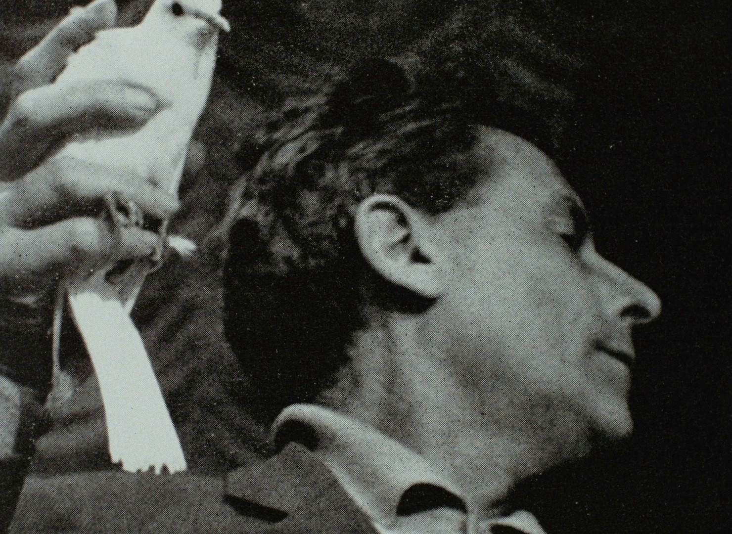 King Lear (2002) —  shot,  lighting