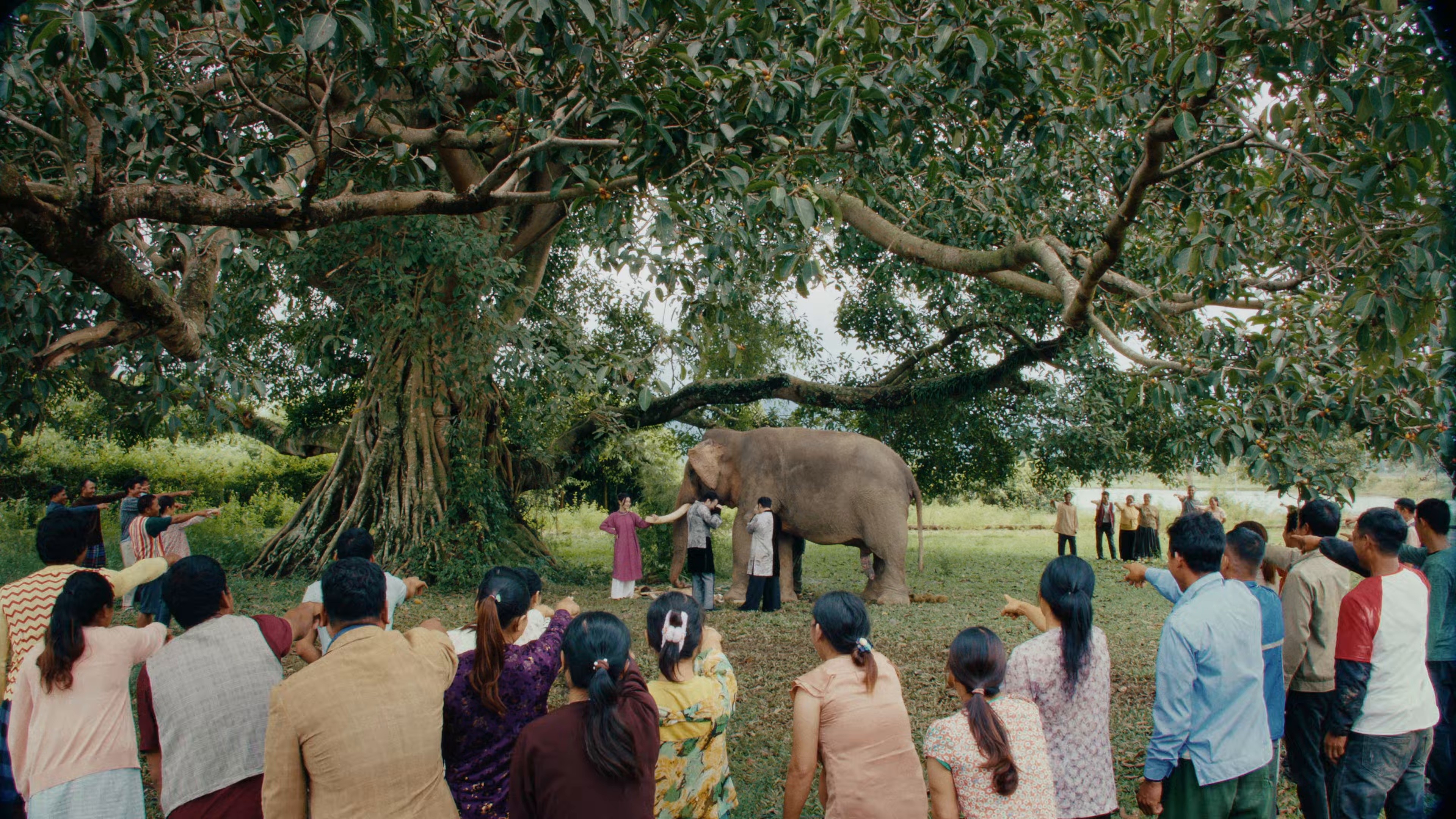 Mục Hạ Vô Nhân (2025) —  shot,  lighting