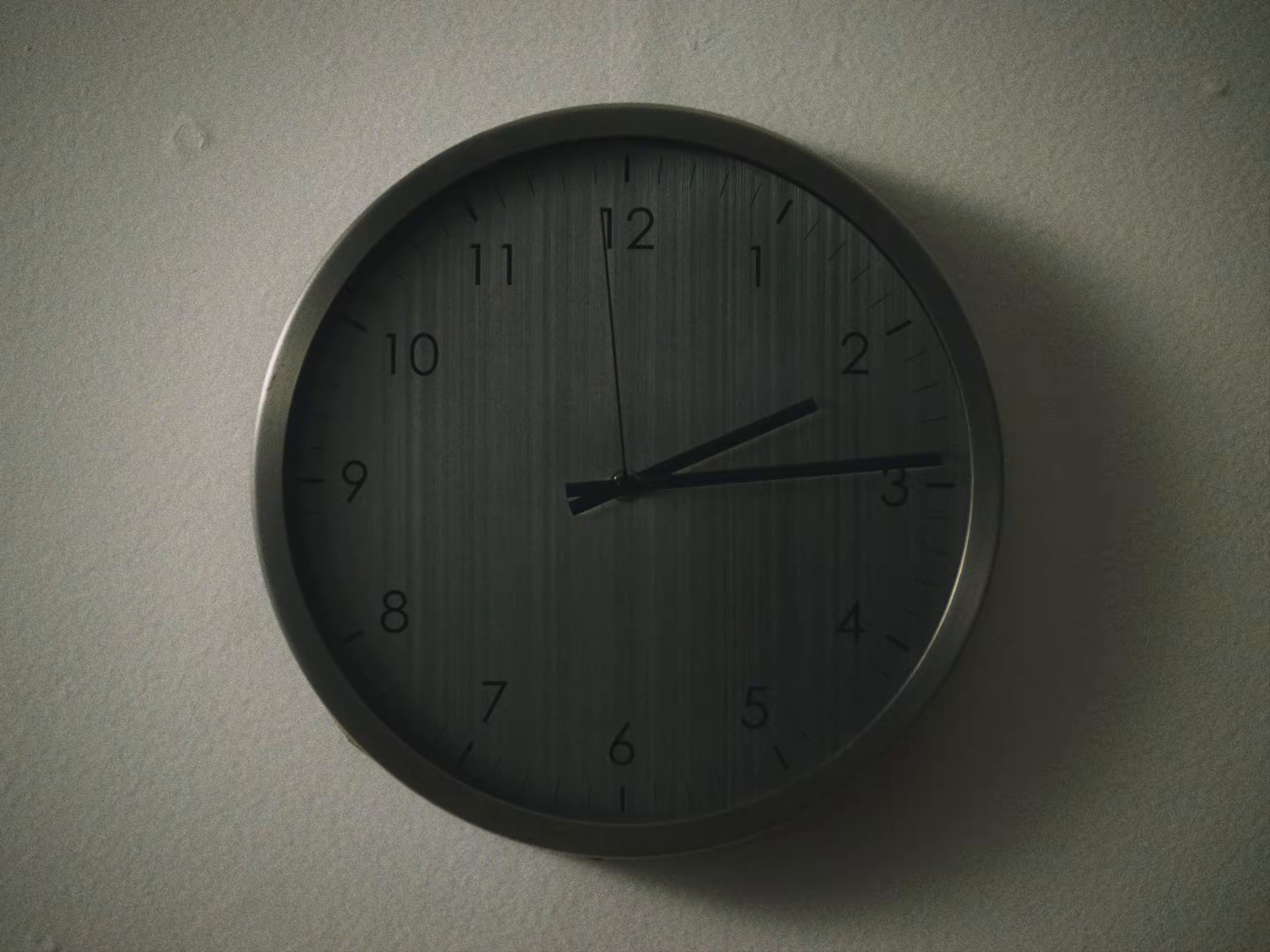 MI GATA (2026) —  shot,  lighting