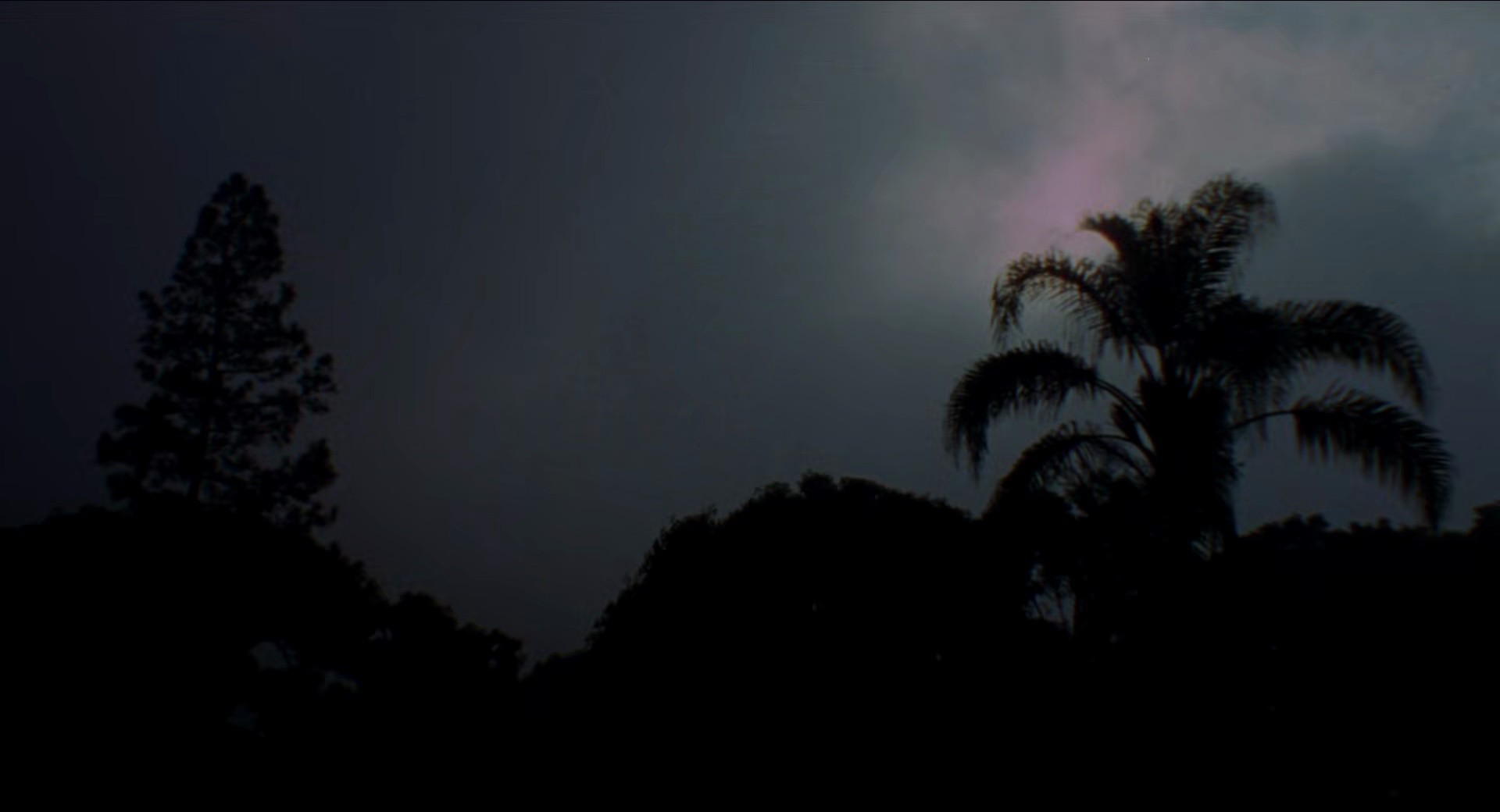 The Swamp (2002) —  shot,  lighting