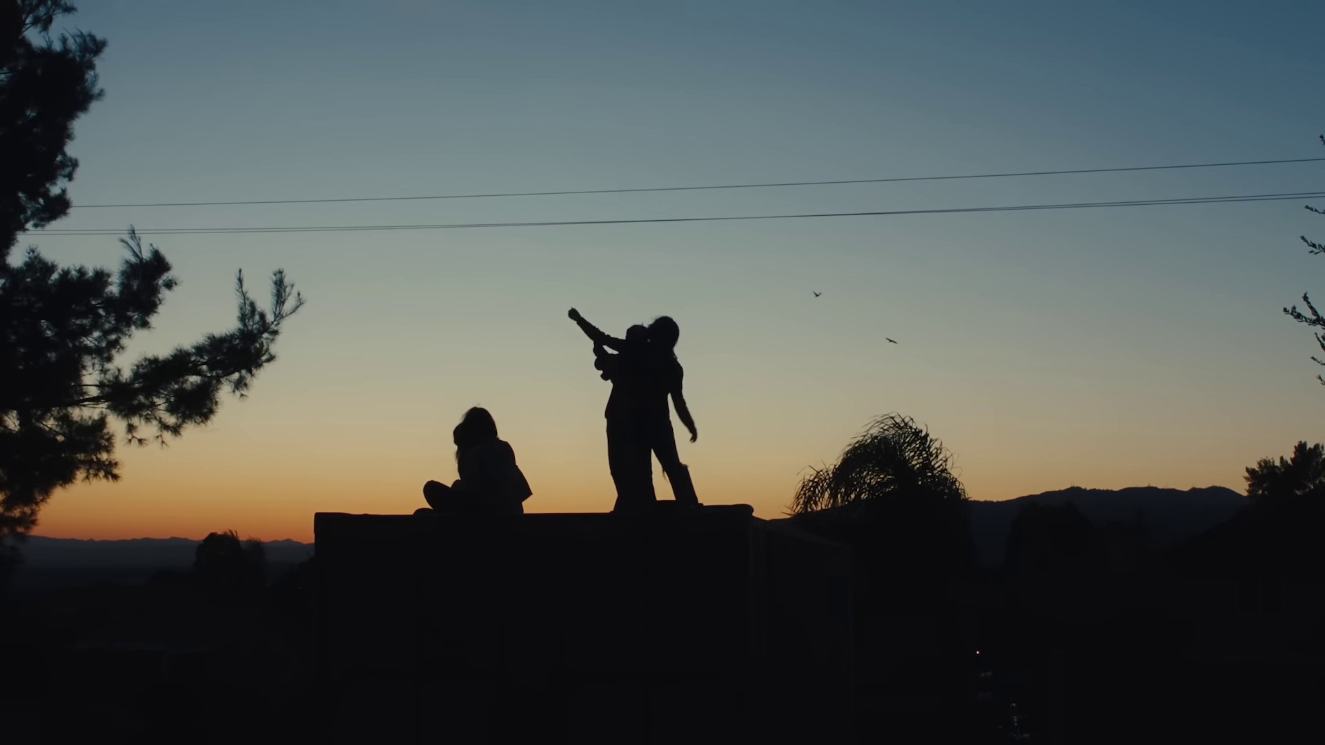 face to face (2024) —  shot,  lighting