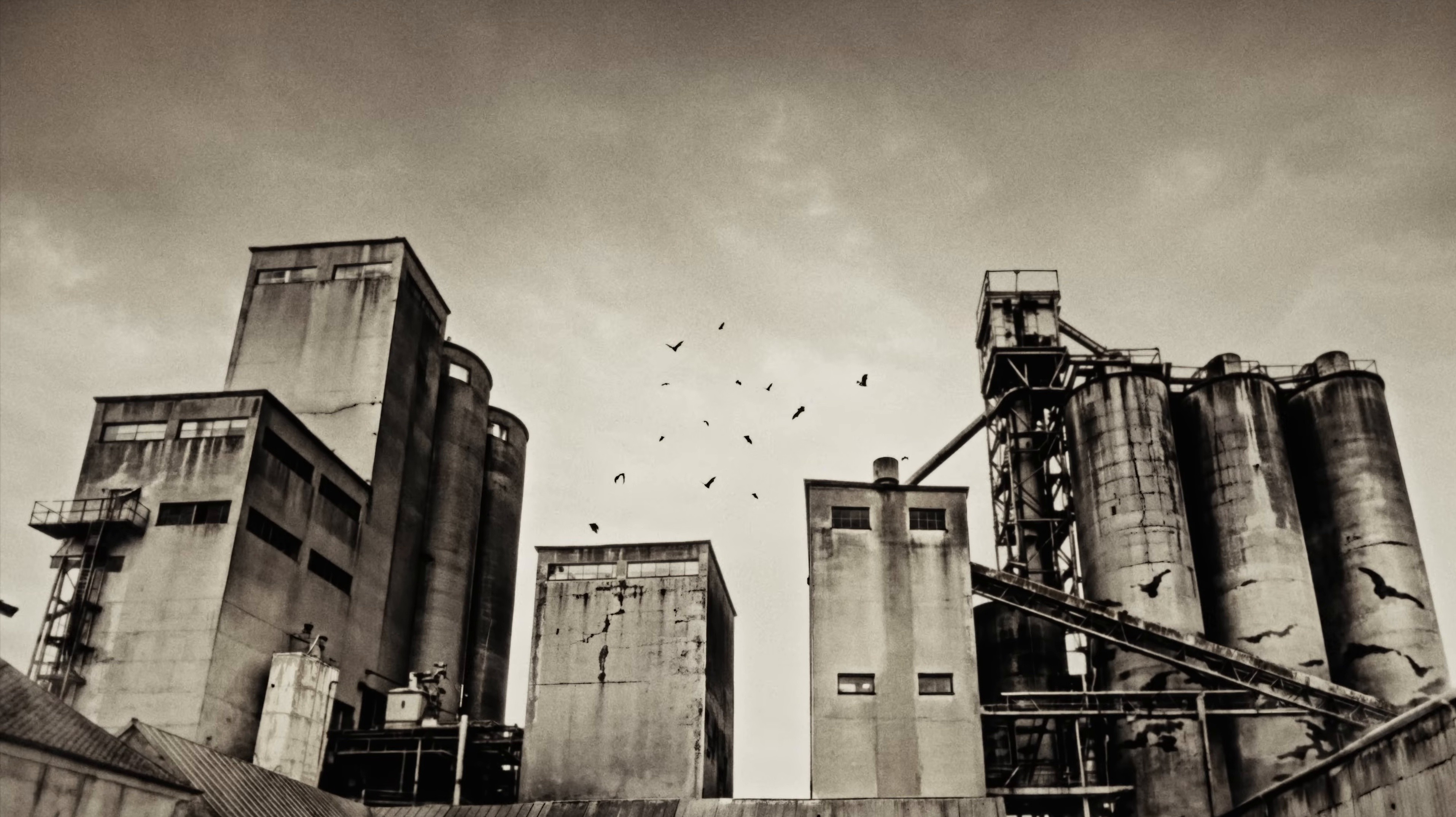 MAL AIMÉS (2026) —  shot,  lighting