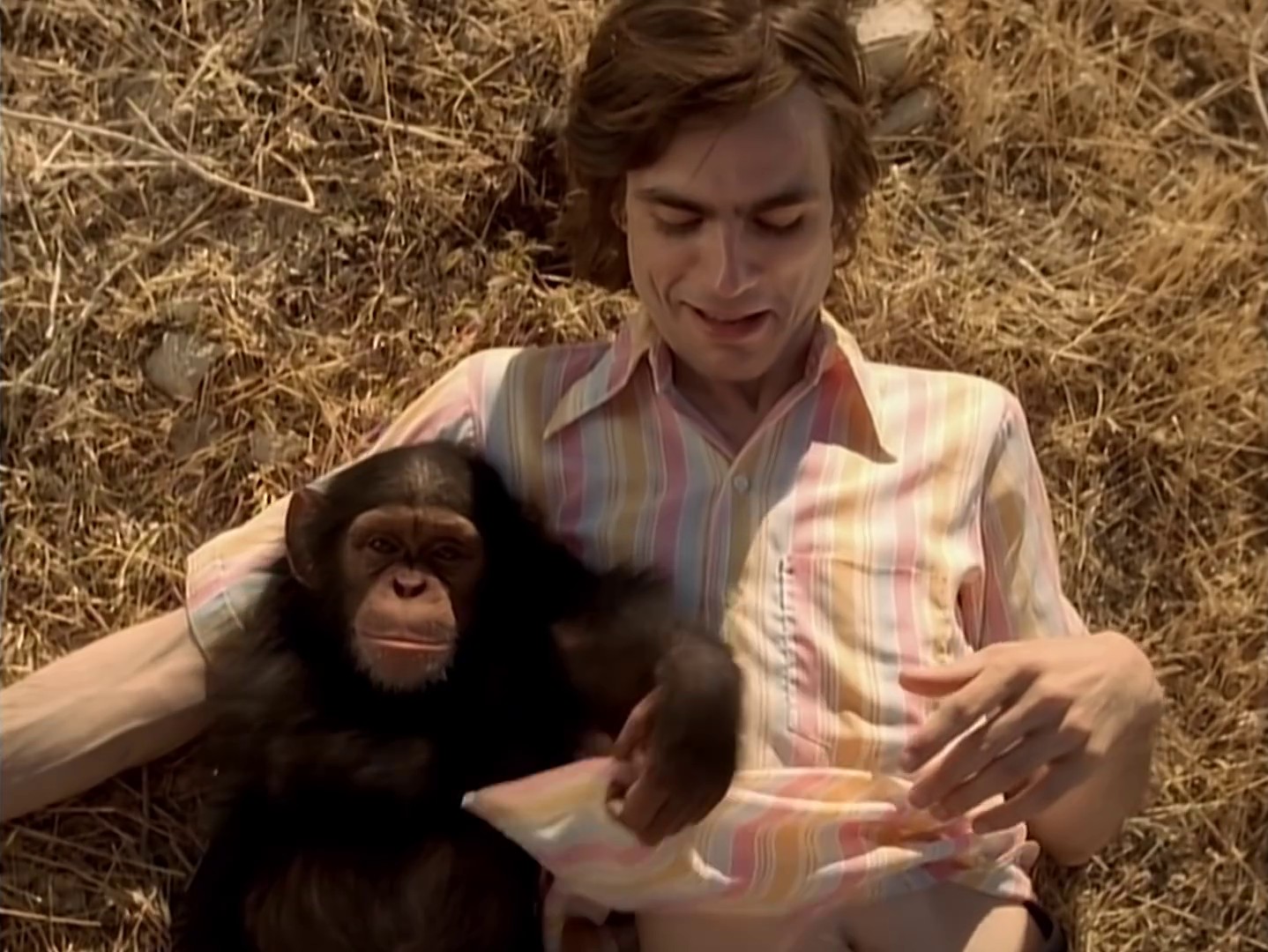 Island In The Sun (2009) —  shot,  lighting