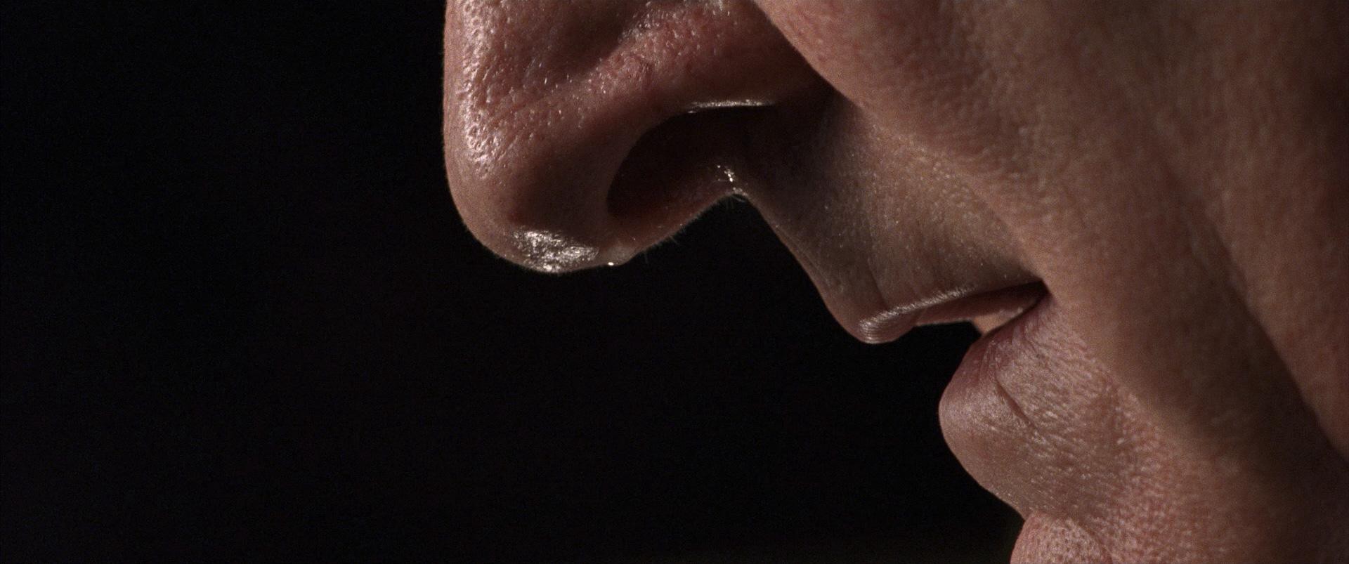 The Remains of the Day (1993) —  shot,  lighting