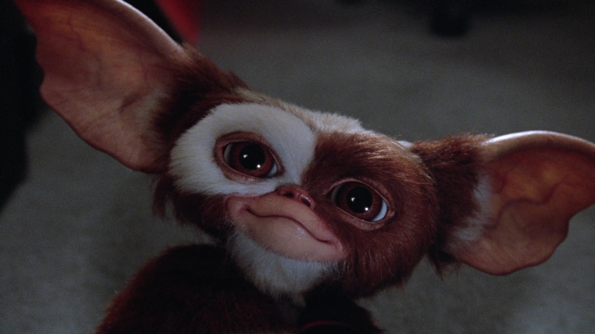Gremlins 2: The New Batch (1990) —  shot,  lighting