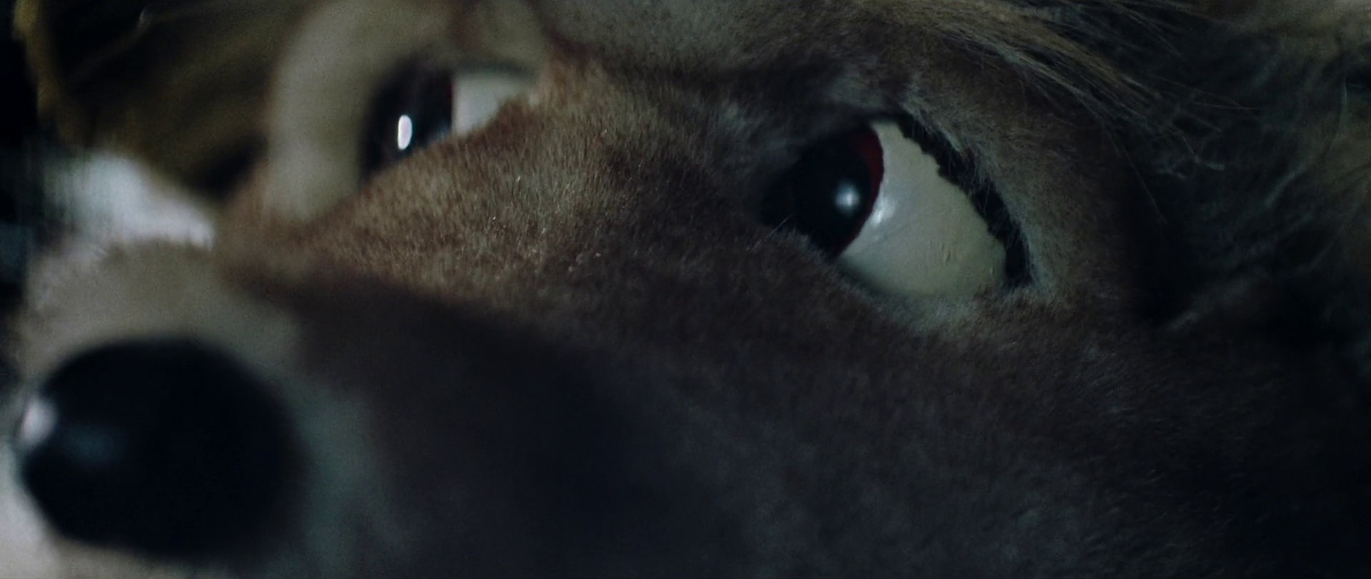 Marry me just for fun (2022) —  shot,  lighting