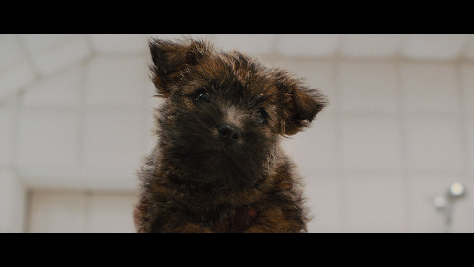 Kingsman: The Golden Circle (2017) —  shot,  lighting