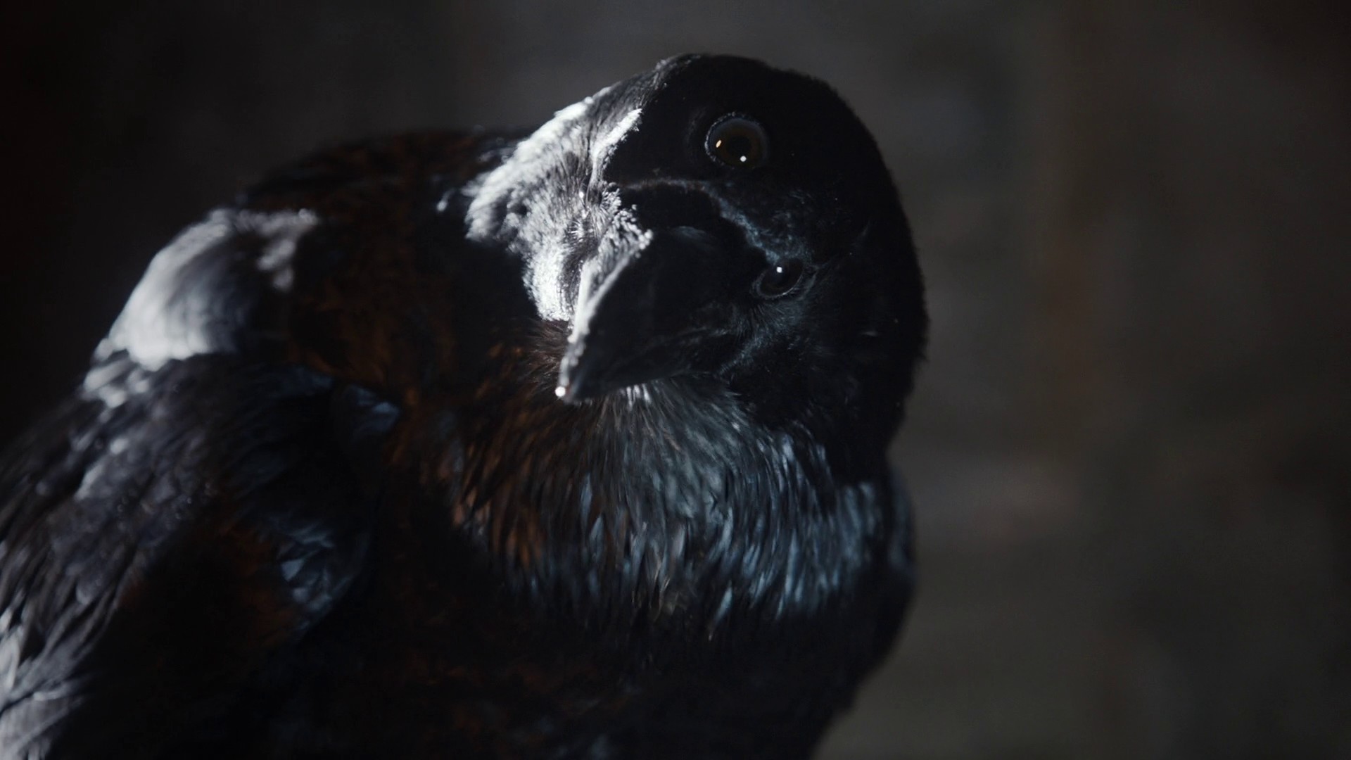 Cripples, Bastards, and Broken Things (2011) —  shot,  lighting