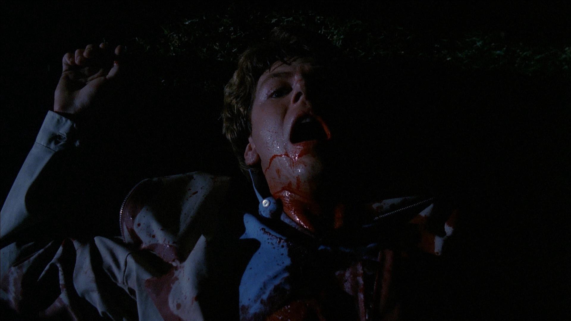 The Slumber Party Massacre (1982) —  shot,  lighting