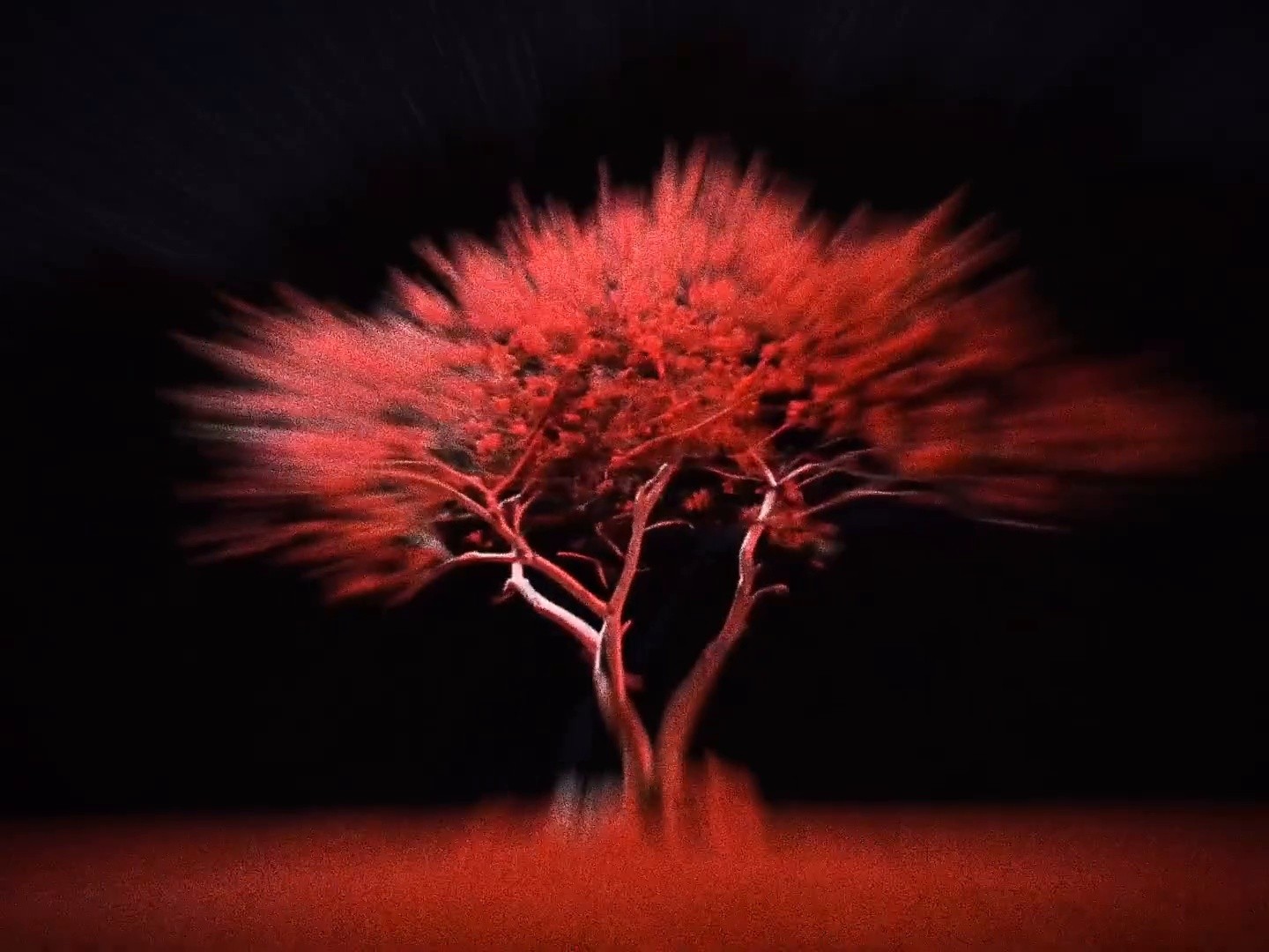 SHOW TEASER (2024) —  shot,  lighting