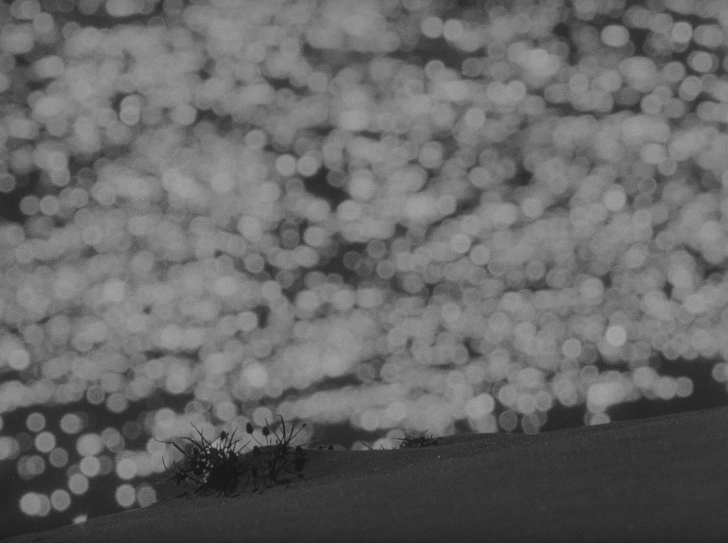 My Name Is Ivan (1962) —  shot,  lighting