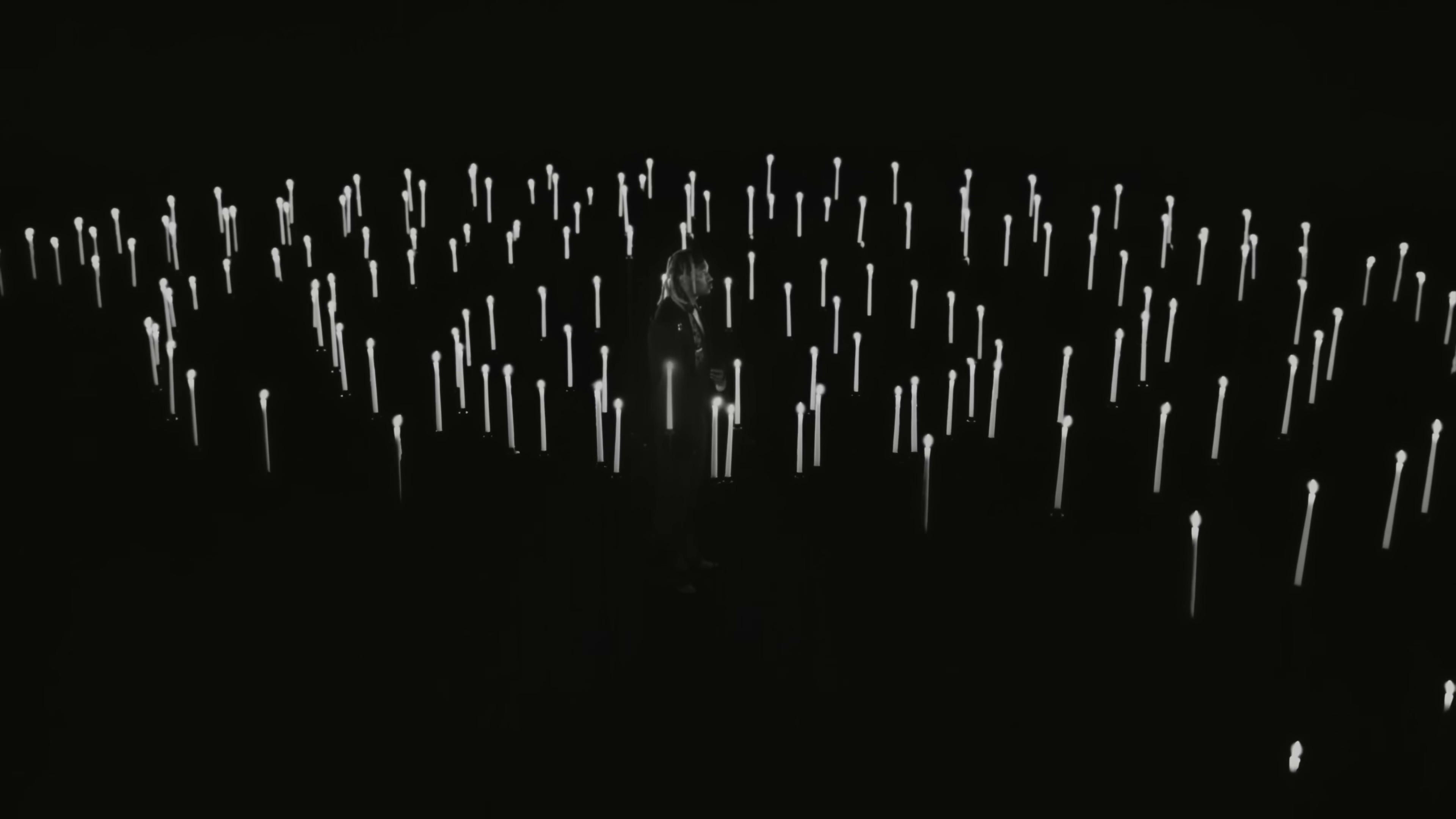 LOST MY DOG (2025) —  shot,  lighting