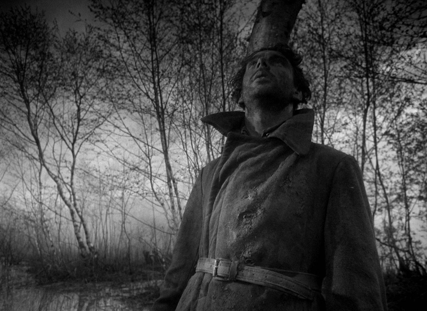 The Cranes Are Flying (1957) —  shot,  lighting