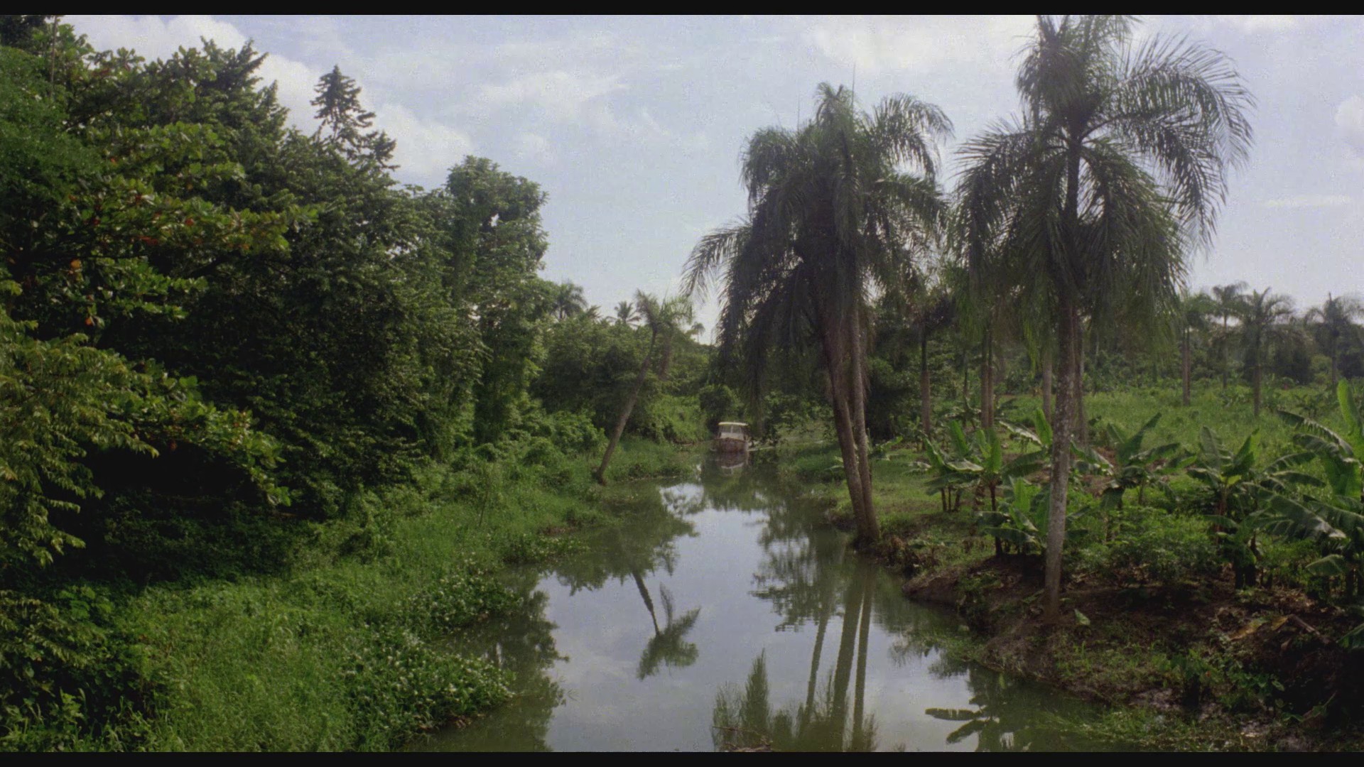 Killer Crocodile (1989) —  shot,  lighting