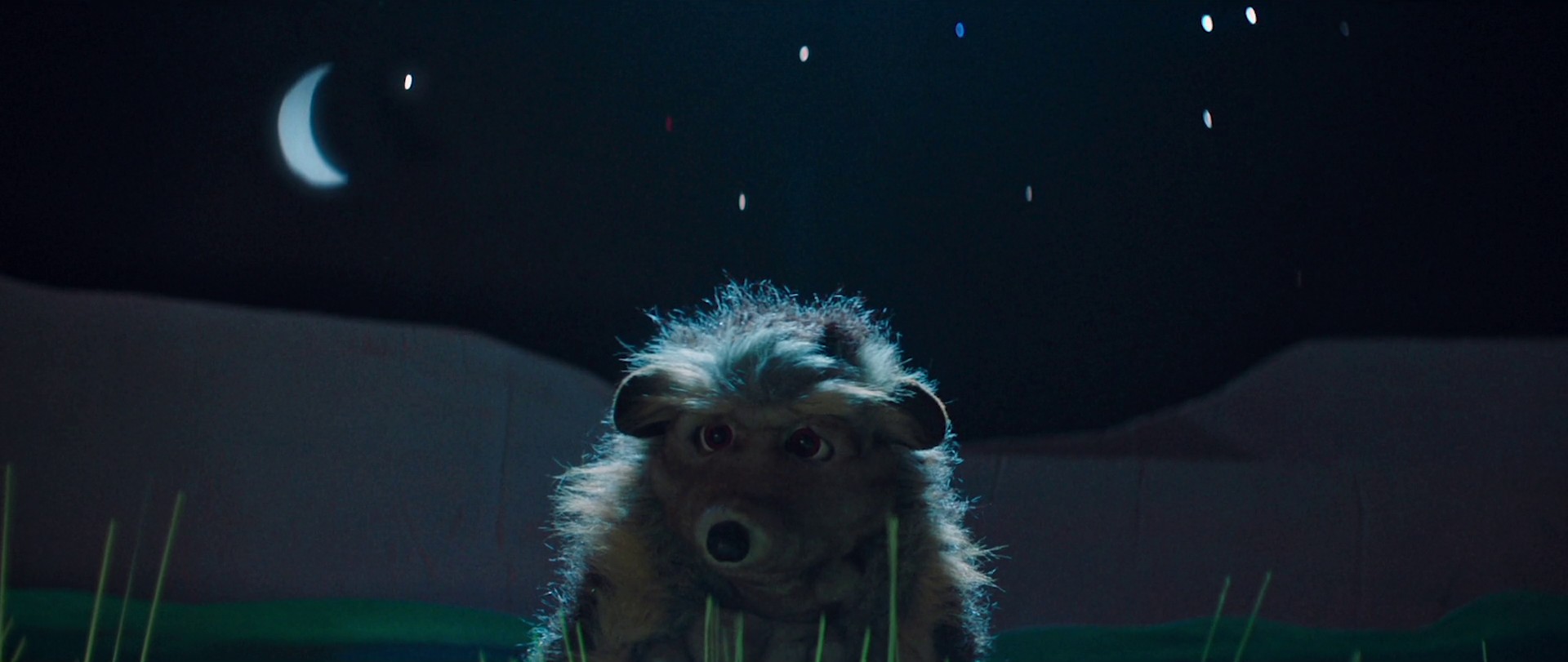 Marry me just for fun (2022) —  shot,  lighting