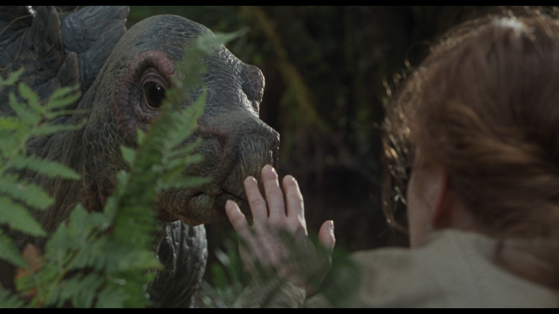 The Lost World: Jurassic Park (1997) —  shot,  lighting