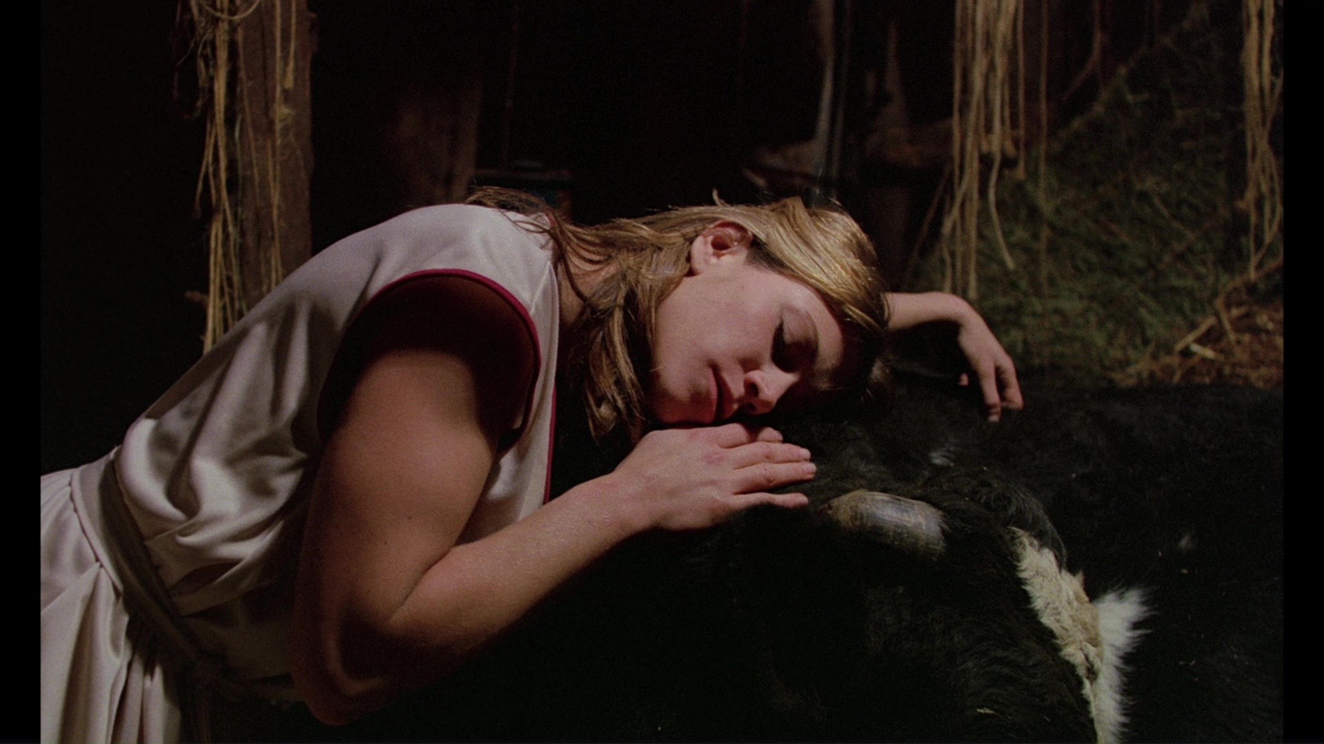 Rabid (1977) —  shot,  lighting