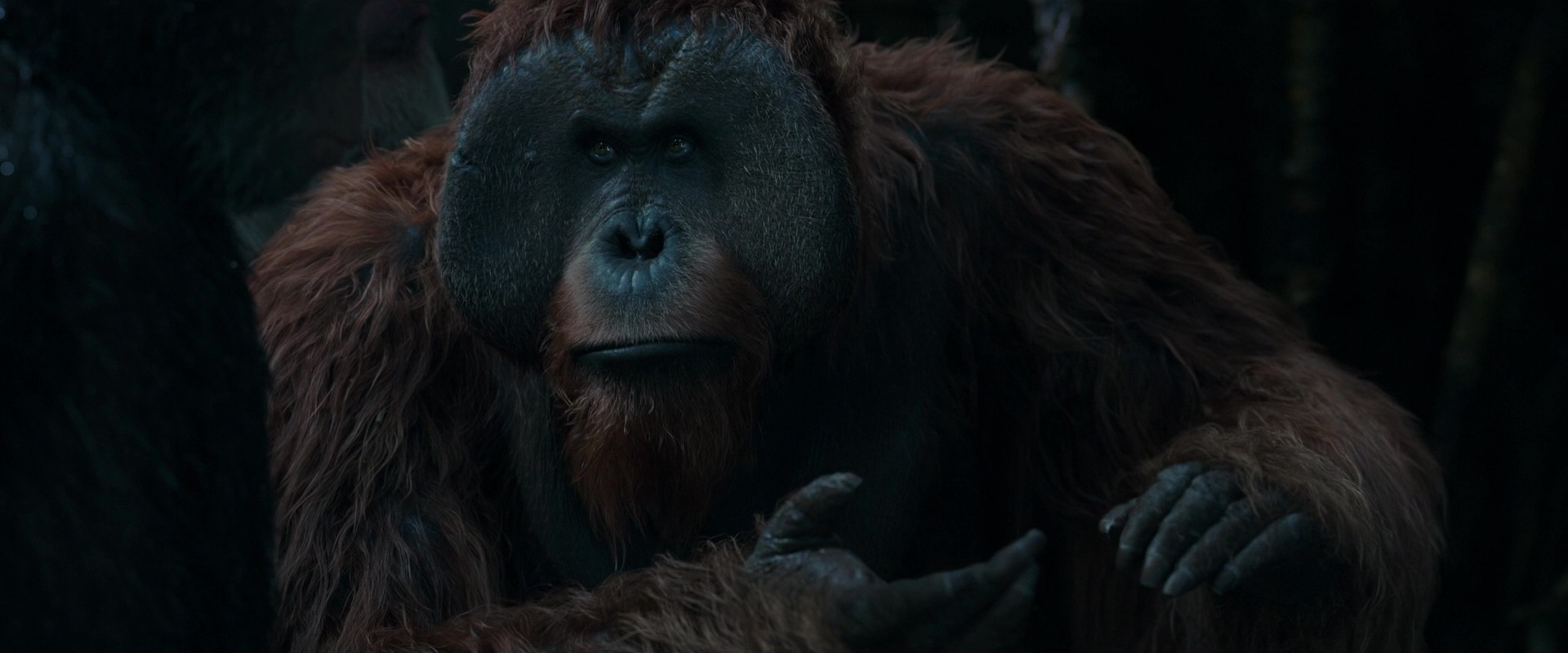 War for the Planet of the Apes (2017) —  shot,  lighting