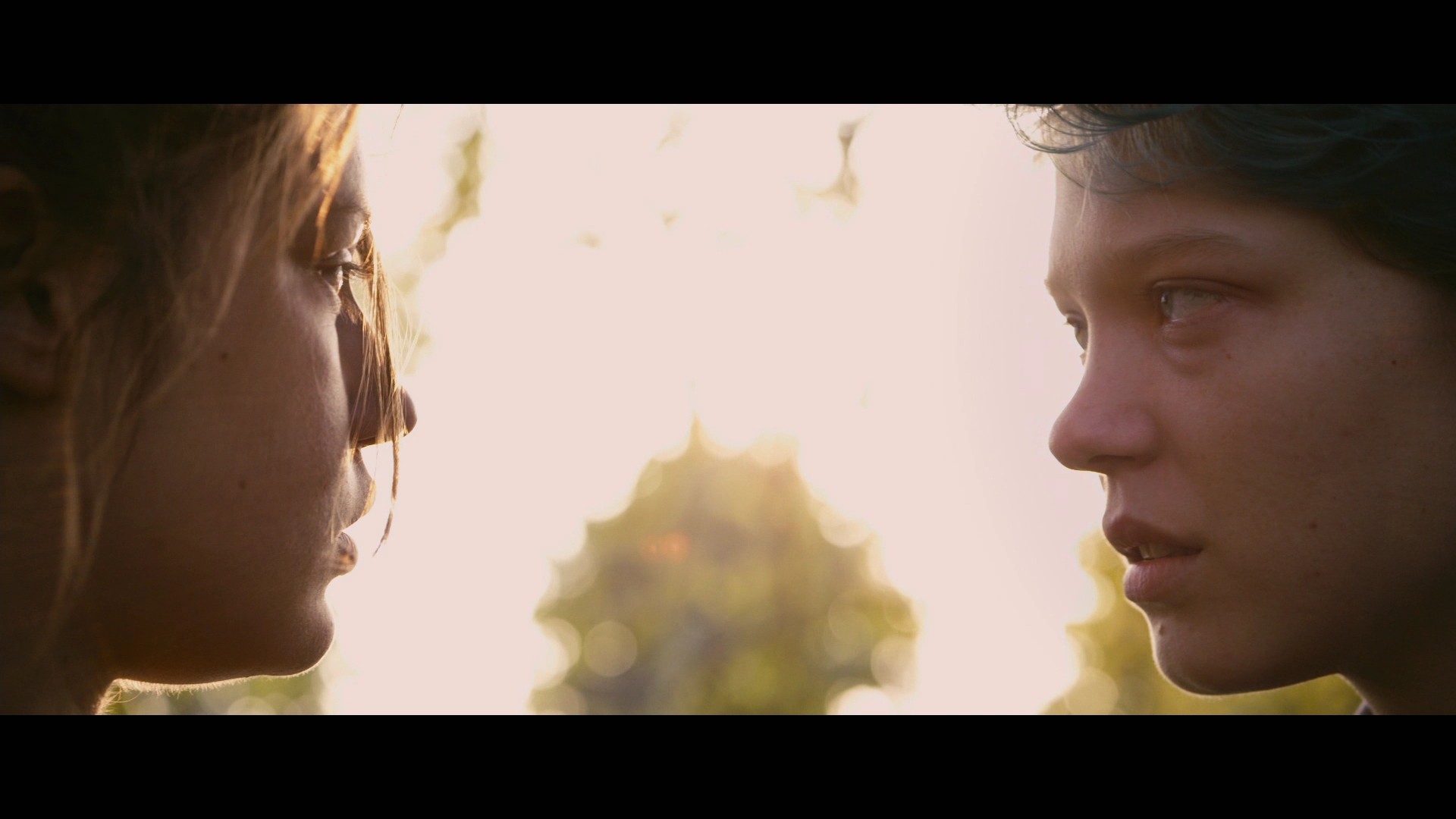 Blue Is the Warmest Colour (2013) —  shot,  lighting