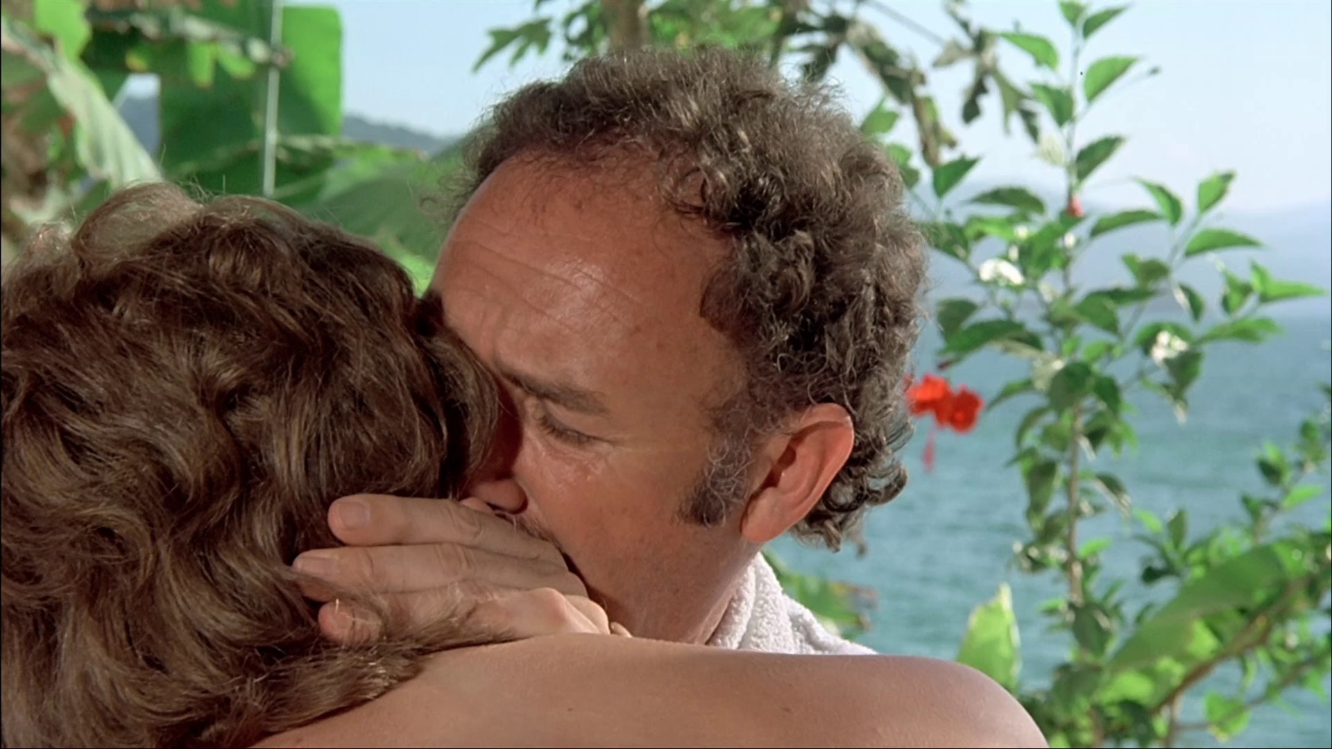 The Domino Principle (1977) —  shot,  lighting