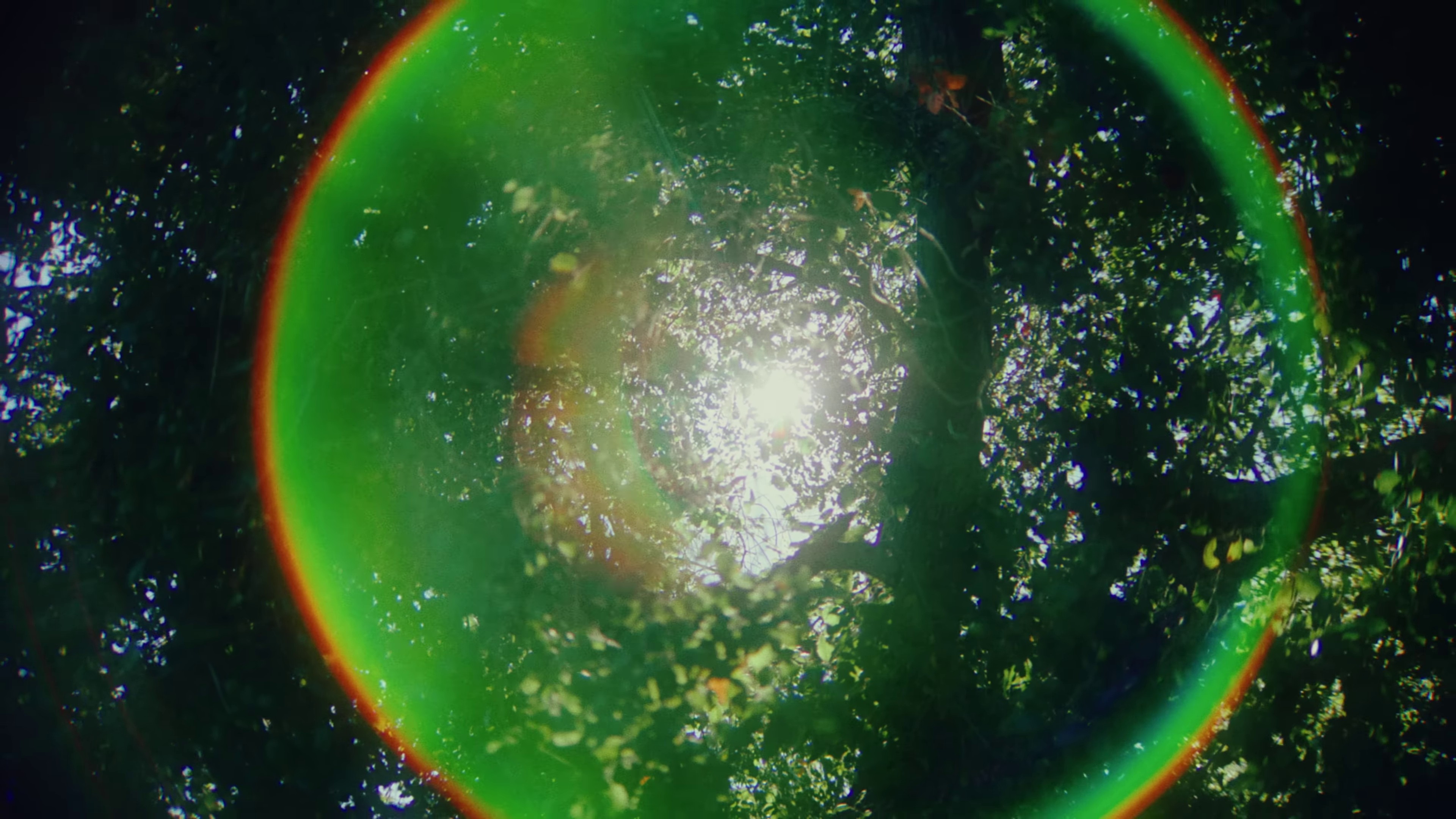 Good Evening (2024) —  shot,  lighting