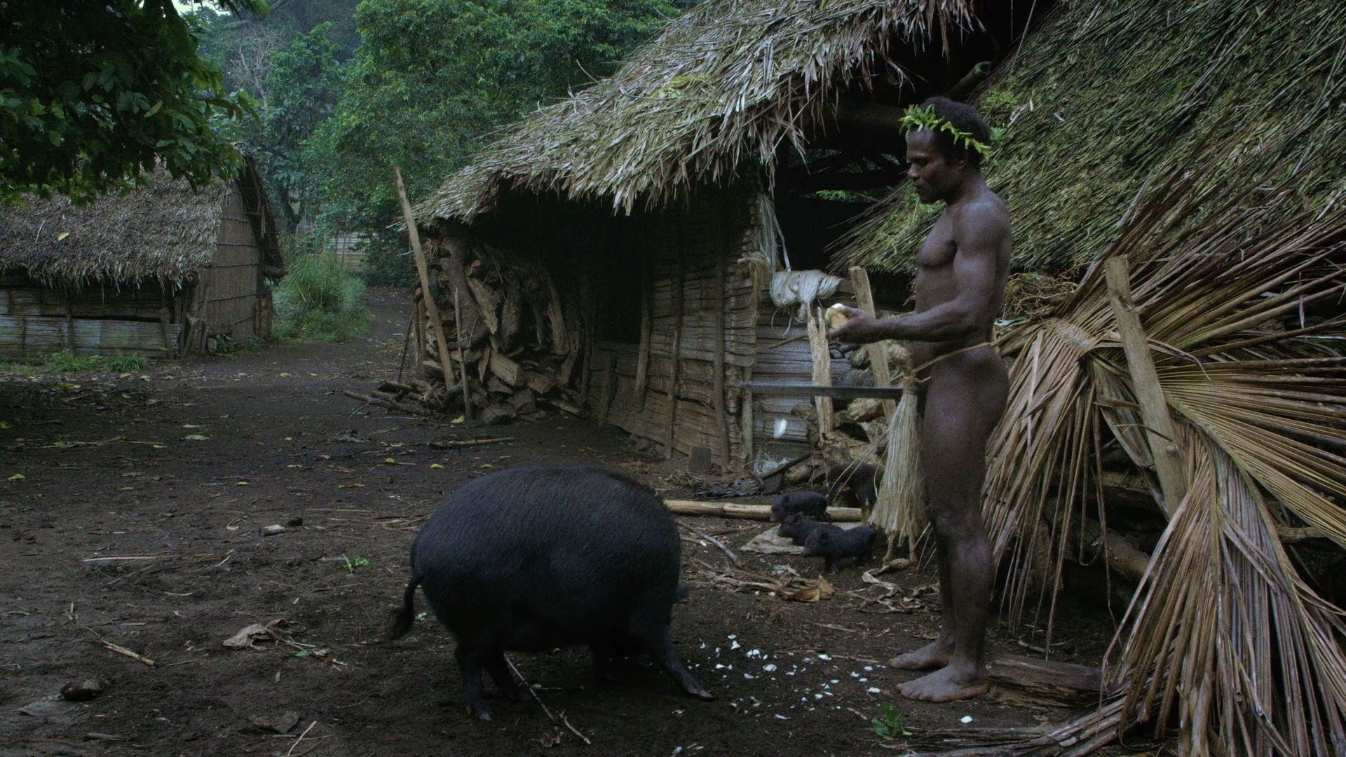 Tanna (2015) —  shot,  lighting