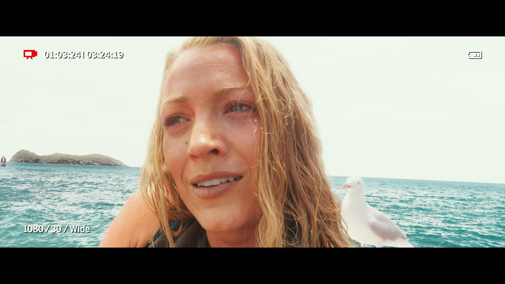 The Shallows (2016) —  shot,  lighting
