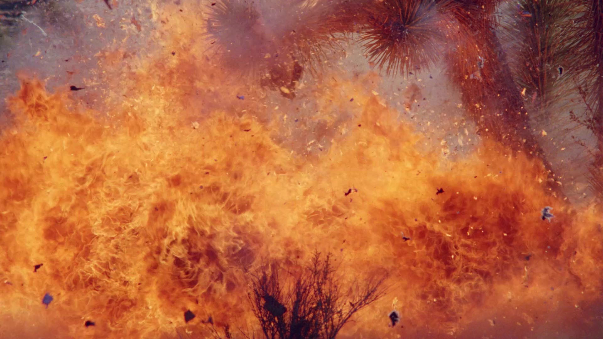 Savage Beach (1989) —  shot,  lighting