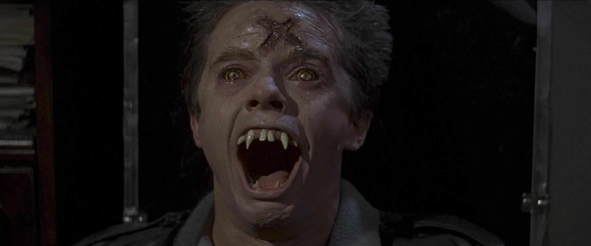 Fright Night (1985) —  shot,  lighting
