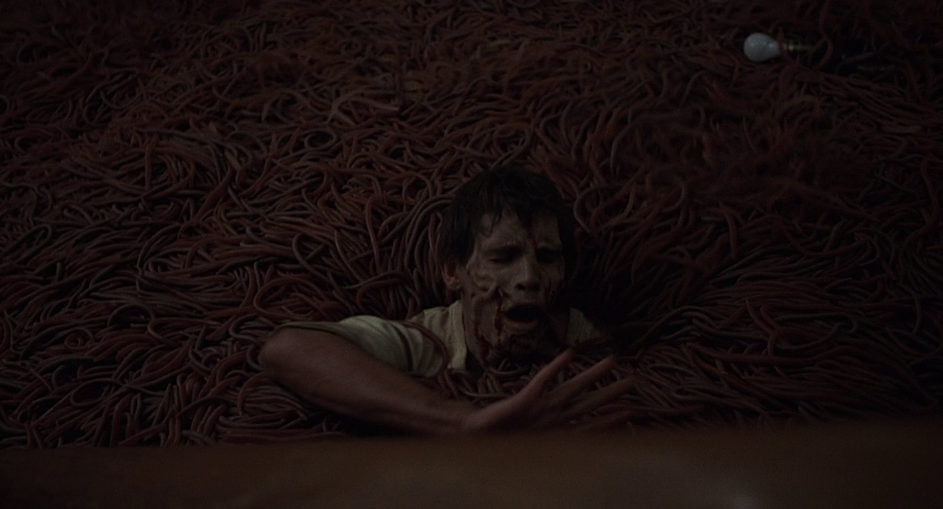 Squirm (1976) —  shot,  lighting