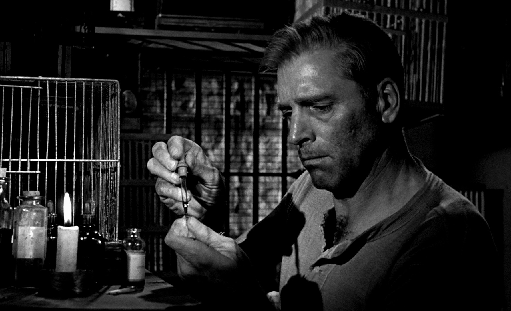 Birdman of Alcatraz (1962) —  shot,  lighting