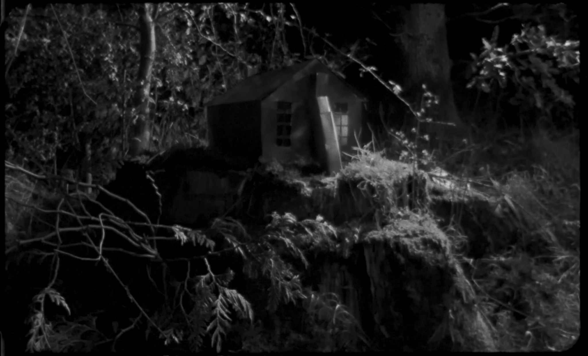 Night Or Day (2024) —  shot,  lighting