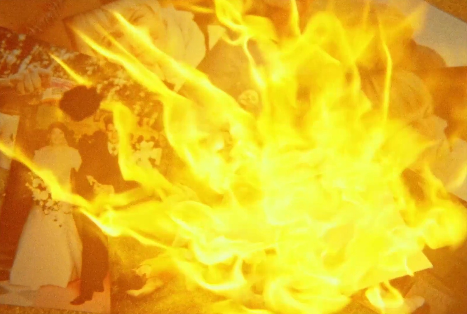 ALIVIA DIRCUT (2024) —  shot,  lighting