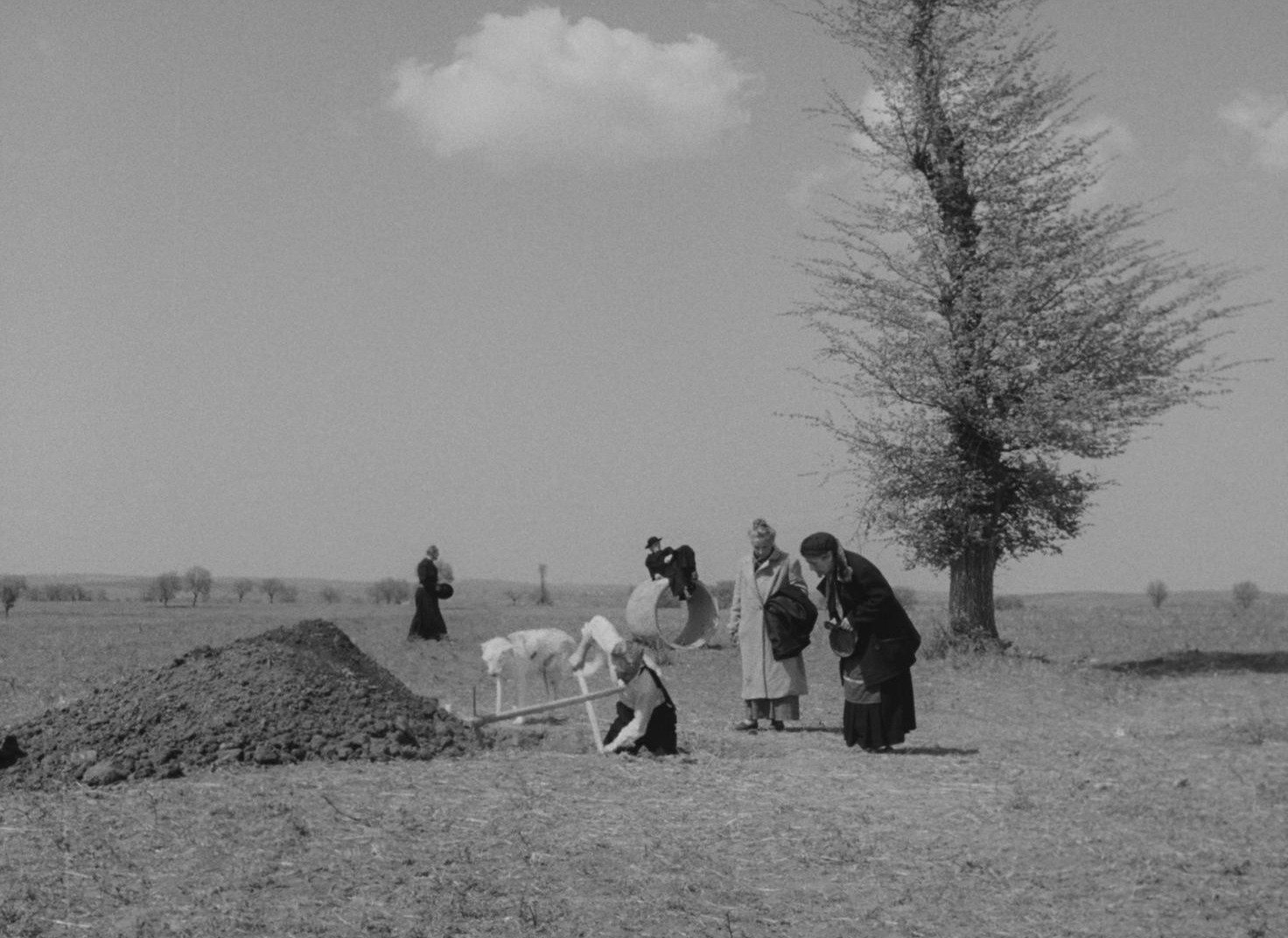 Il Bidone (1955) —  shot,  lighting