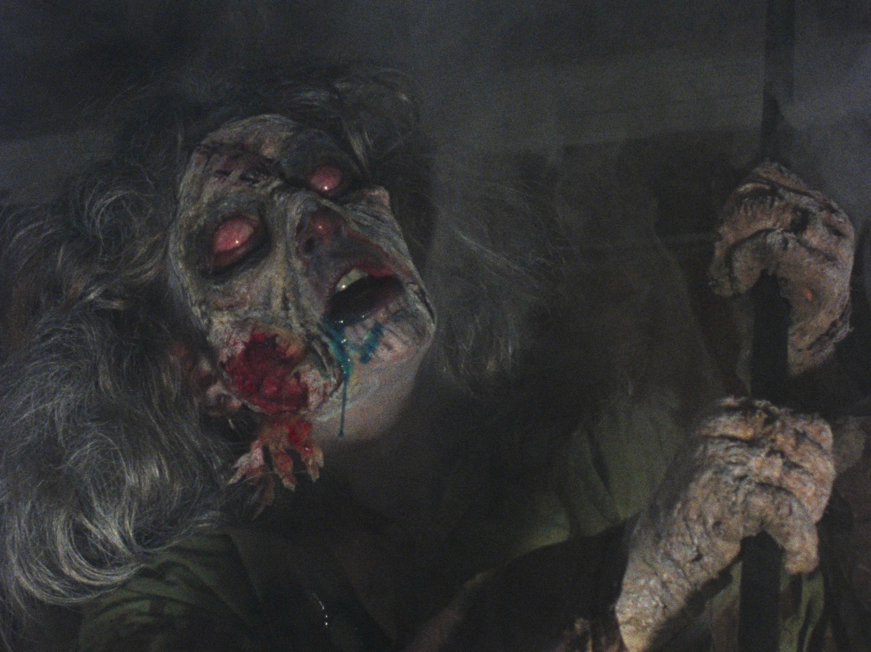 The Evil Dead (1981) —  shot,  lighting