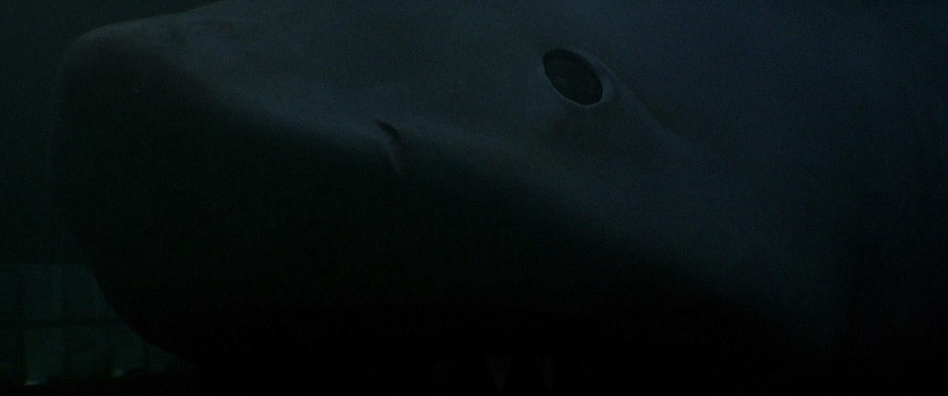 Jaws 3-D (1983) —  shot,  lighting