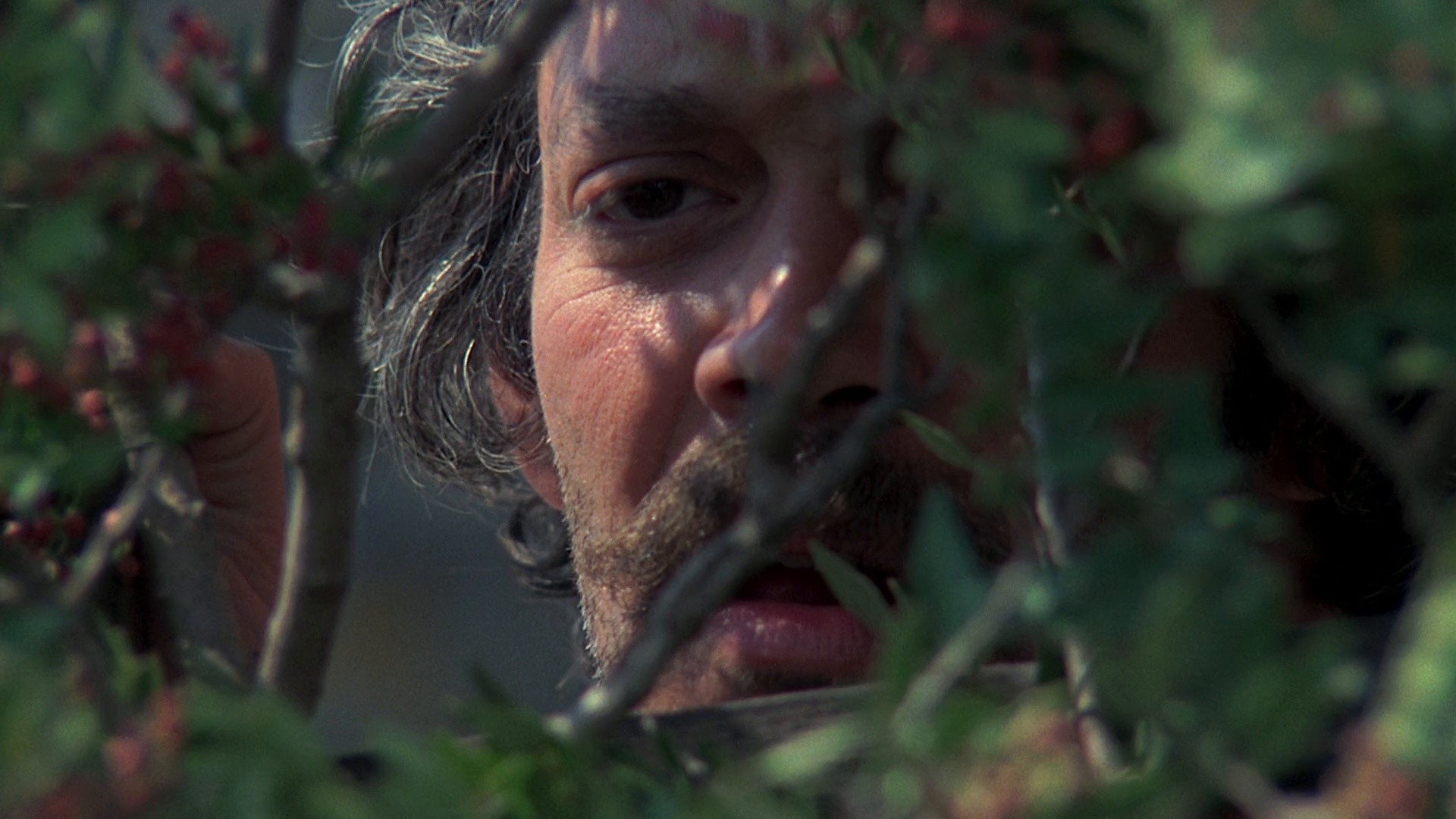 Tempest (1983) —  shot,  lighting