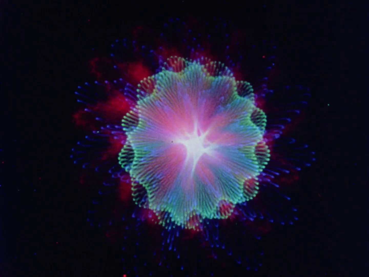 Who Ho Ray No. 1 (1972) —  shot,  lighting