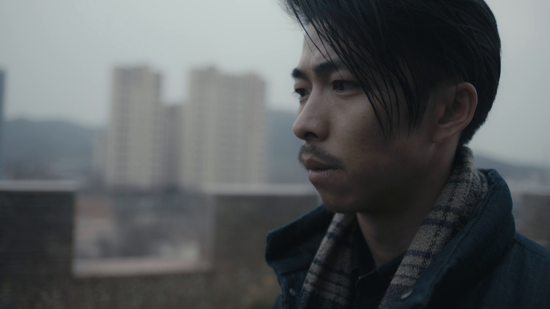 An Elephant Sitting Still (2019) —  shot,  lighting