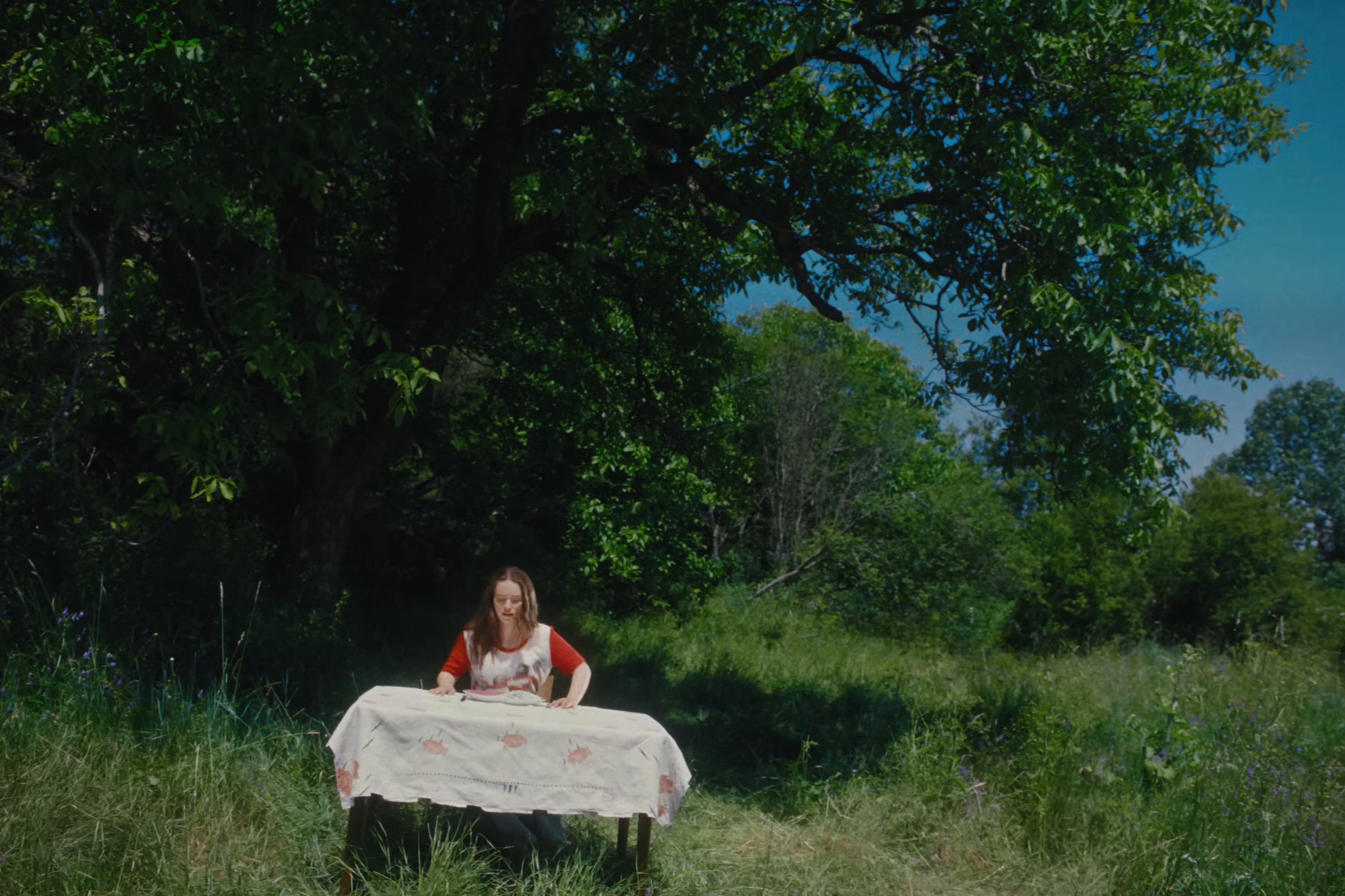 Jellyfish (2025) —  shot,  lighting