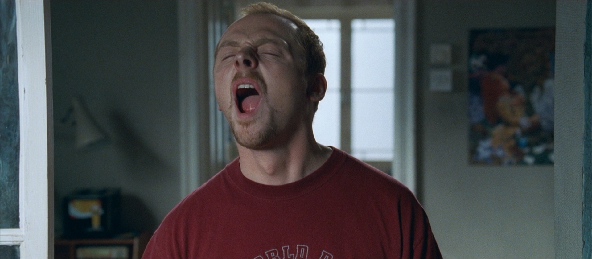 Shaun of the Dead (2004) —  shot,  lighting