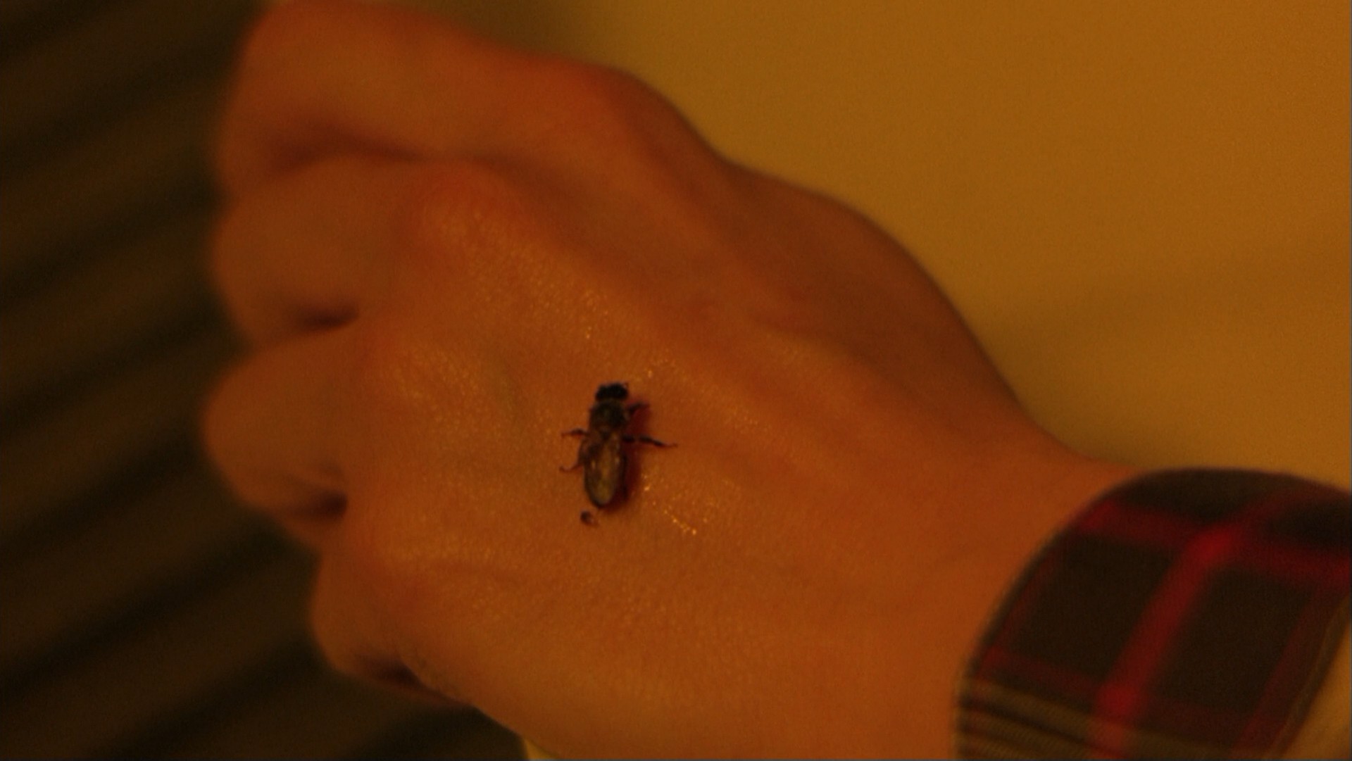 The Crush (1993) —  shot,  lighting