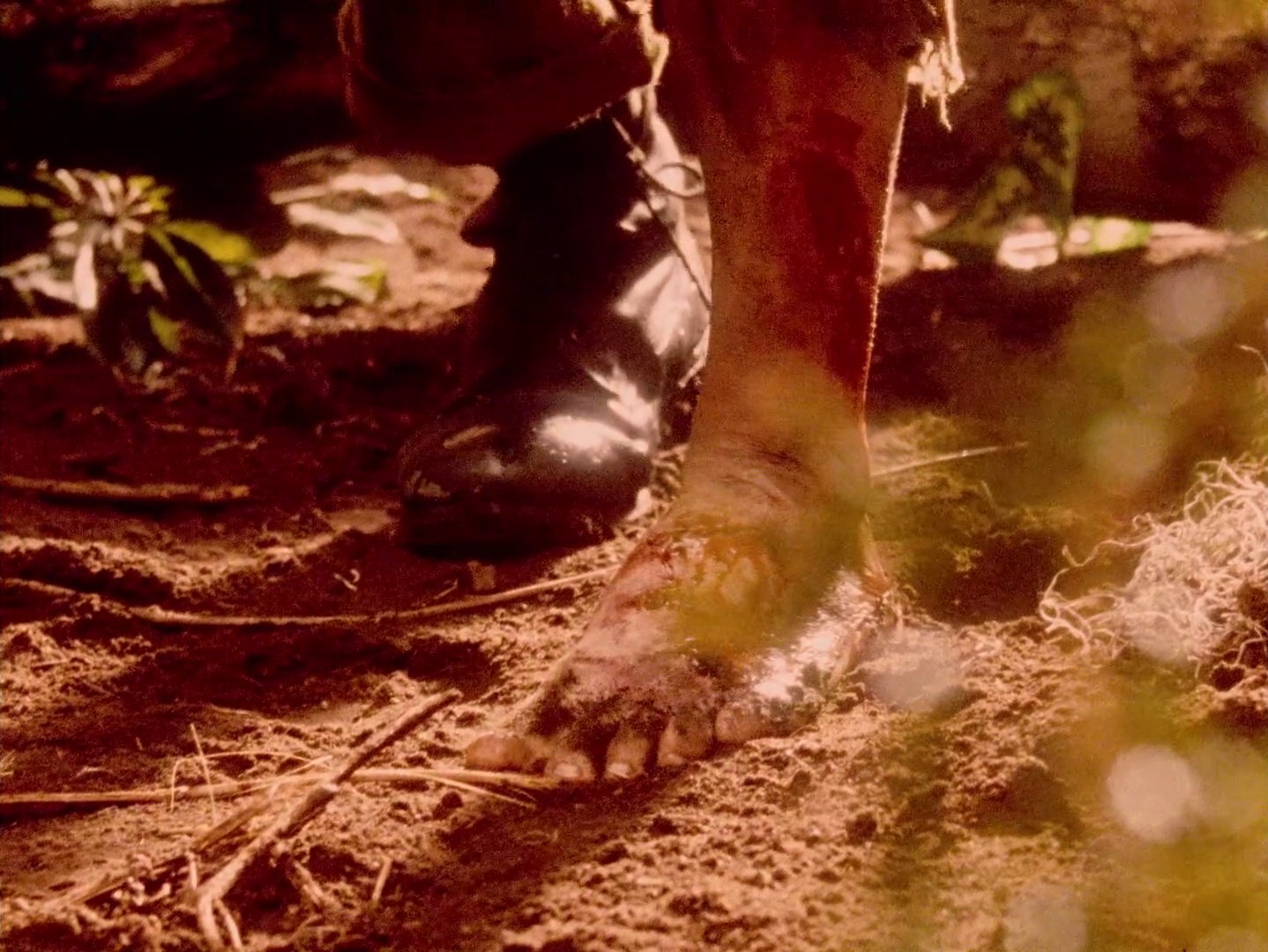 The Twentieth Century (2020) —  shot,  lighting