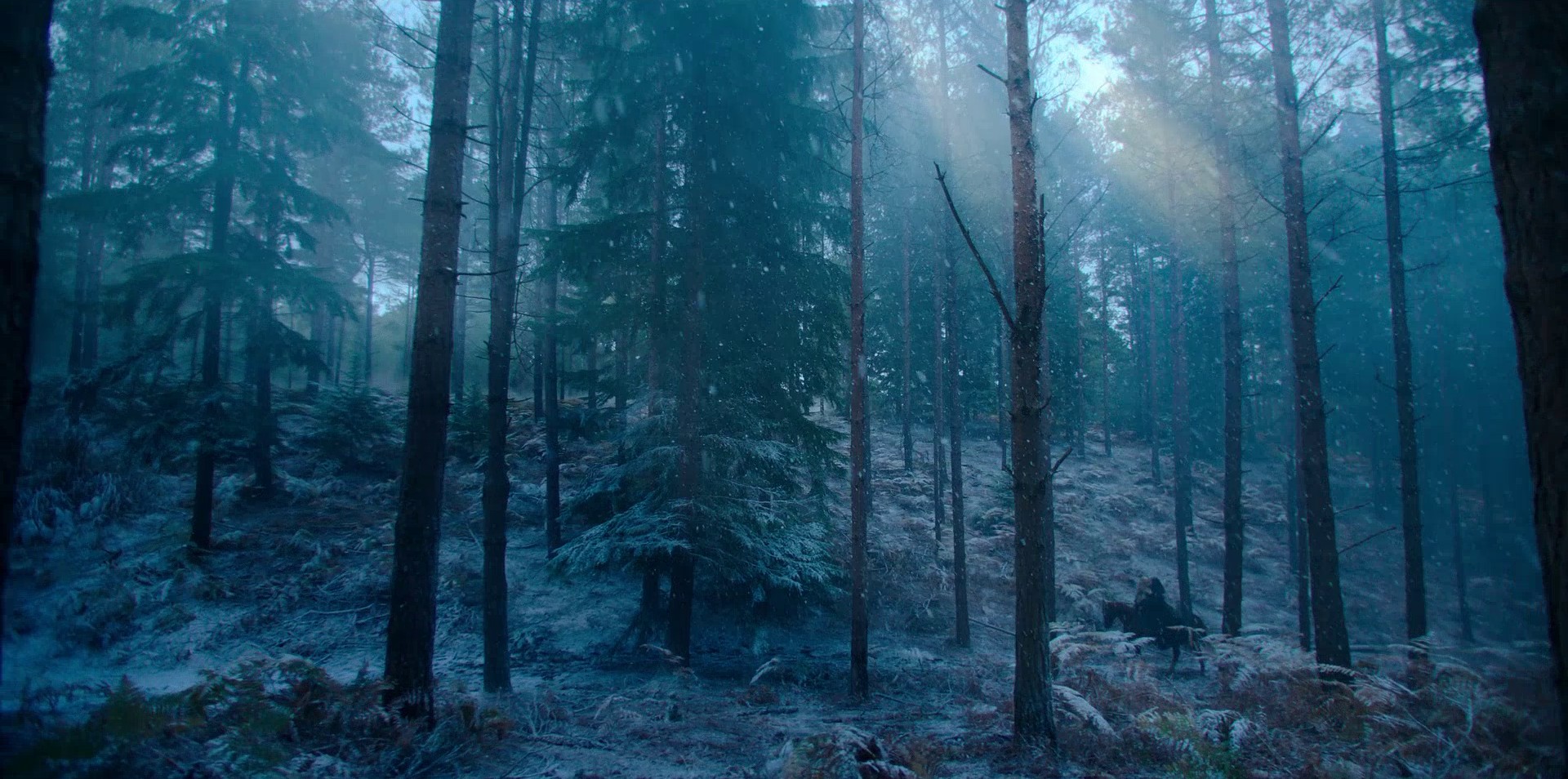 A Grain of Truth (2021) —  shot,  lighting