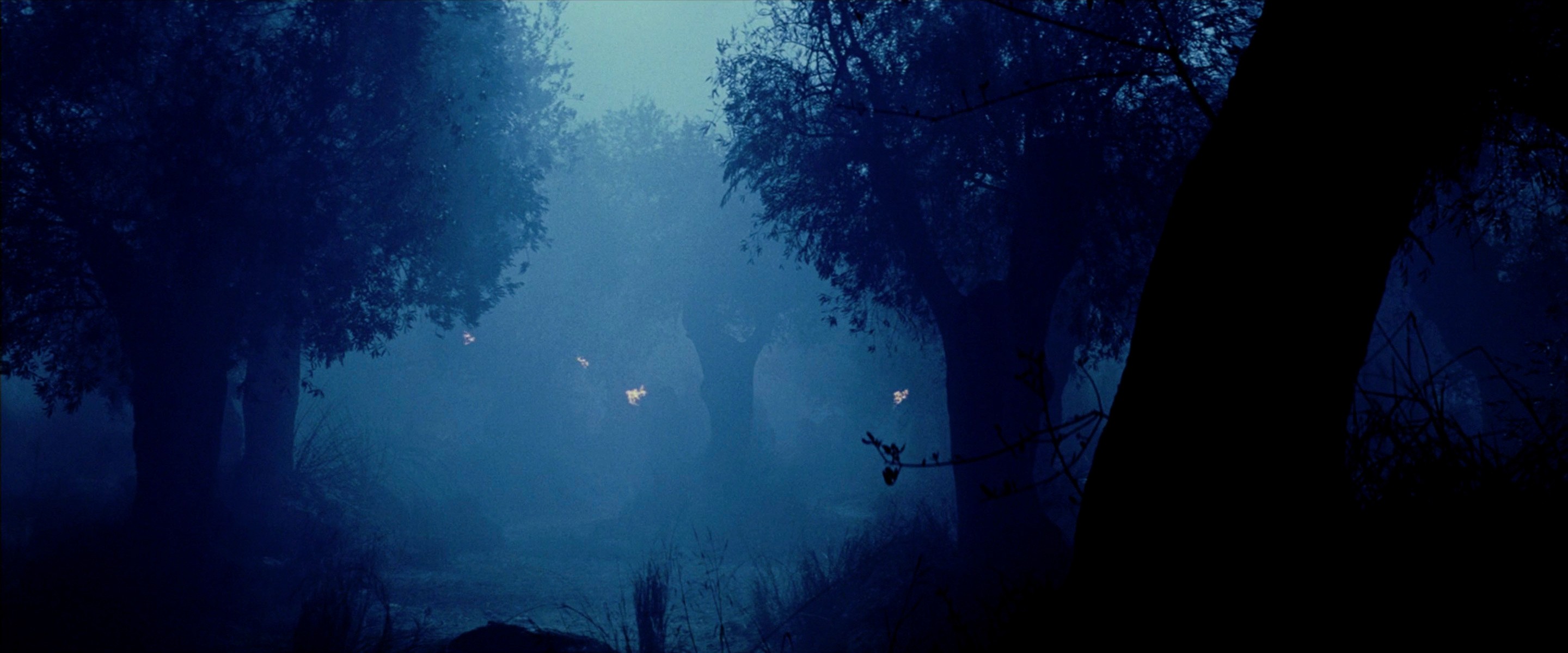 The Passion of the Christ (2004) —  shot,  lighting