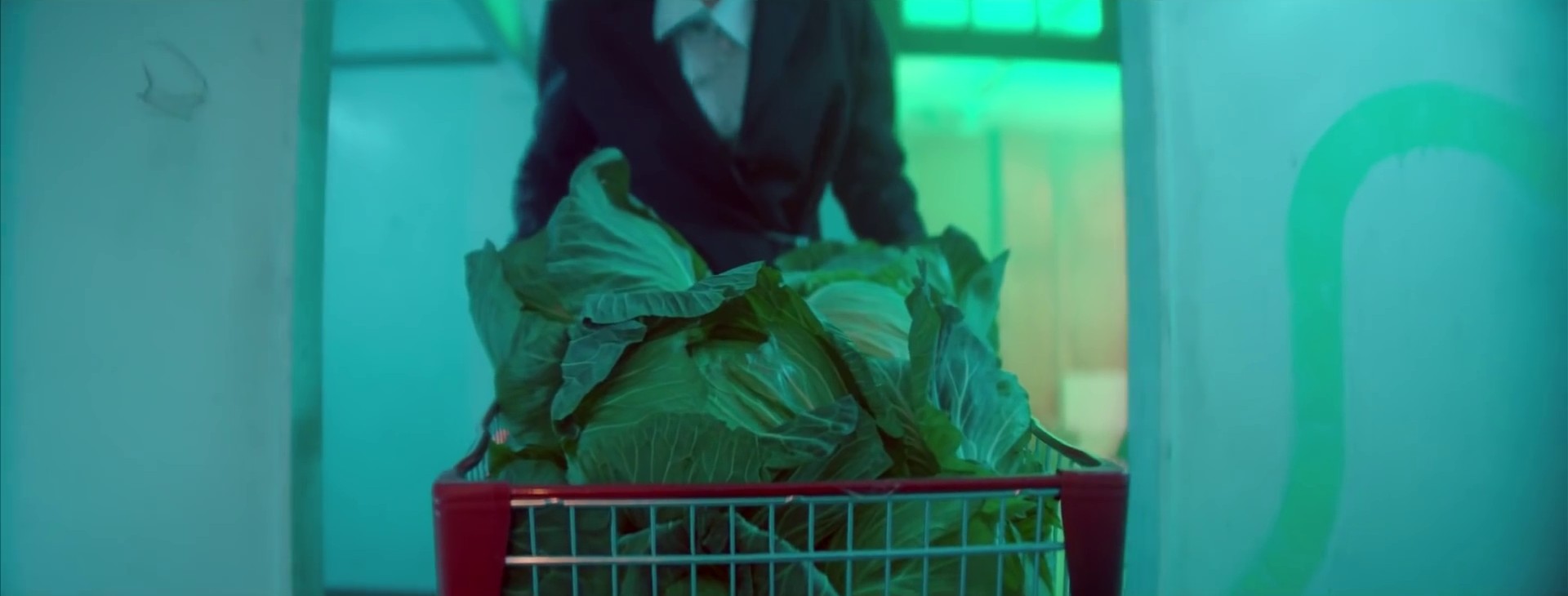 Snail  (2020) —  shot,  lighting