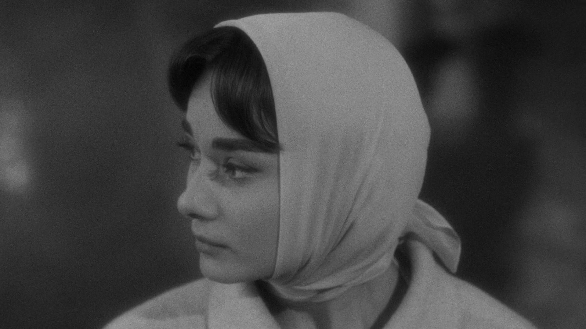 Love in the Afternoon (1957) —  shot,  lighting