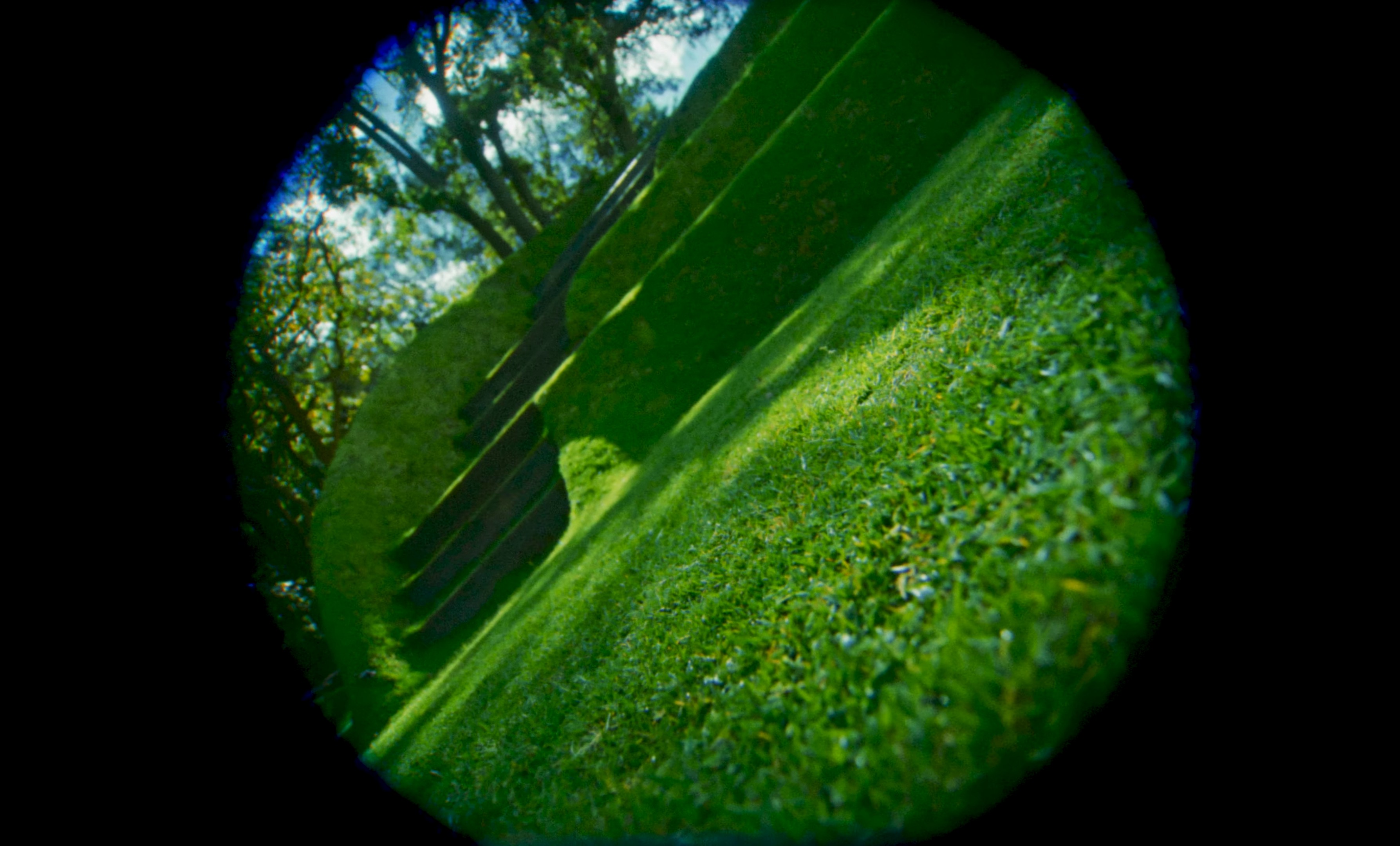 New Lyfe (2024) —  shot,  lighting