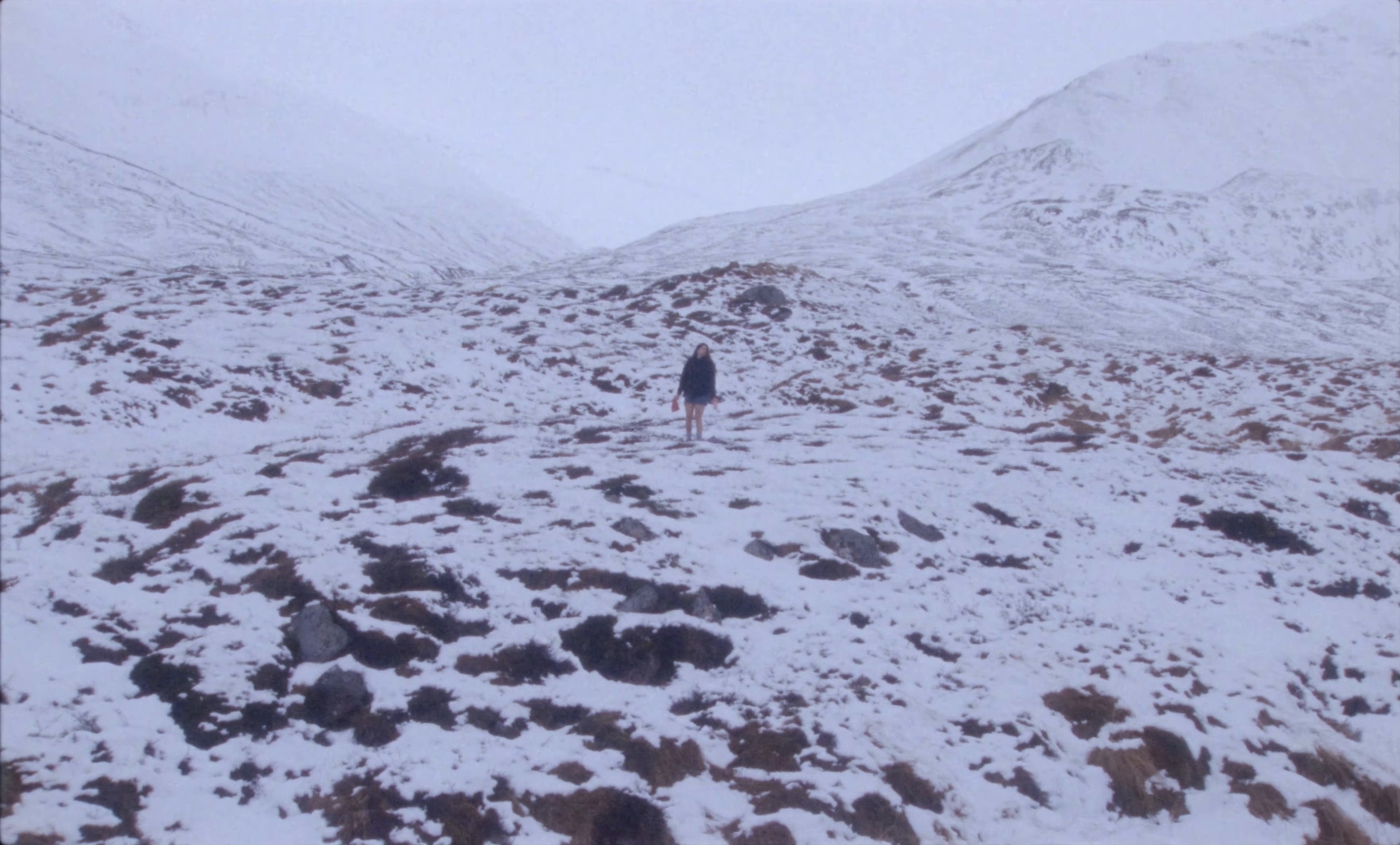 Dashboard Mary (2026) —  shot,  lighting